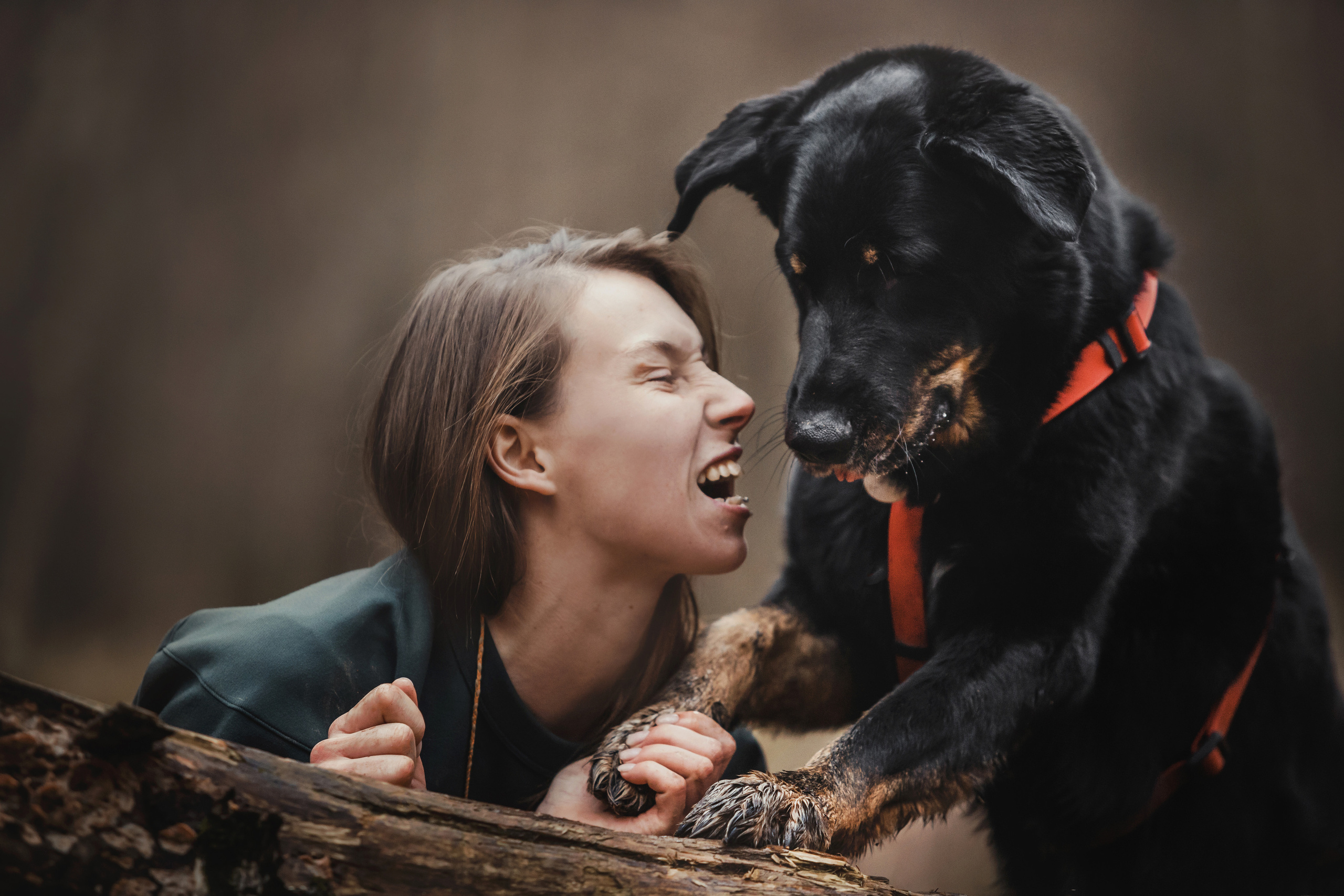 Фотосессия с собакой Фелик