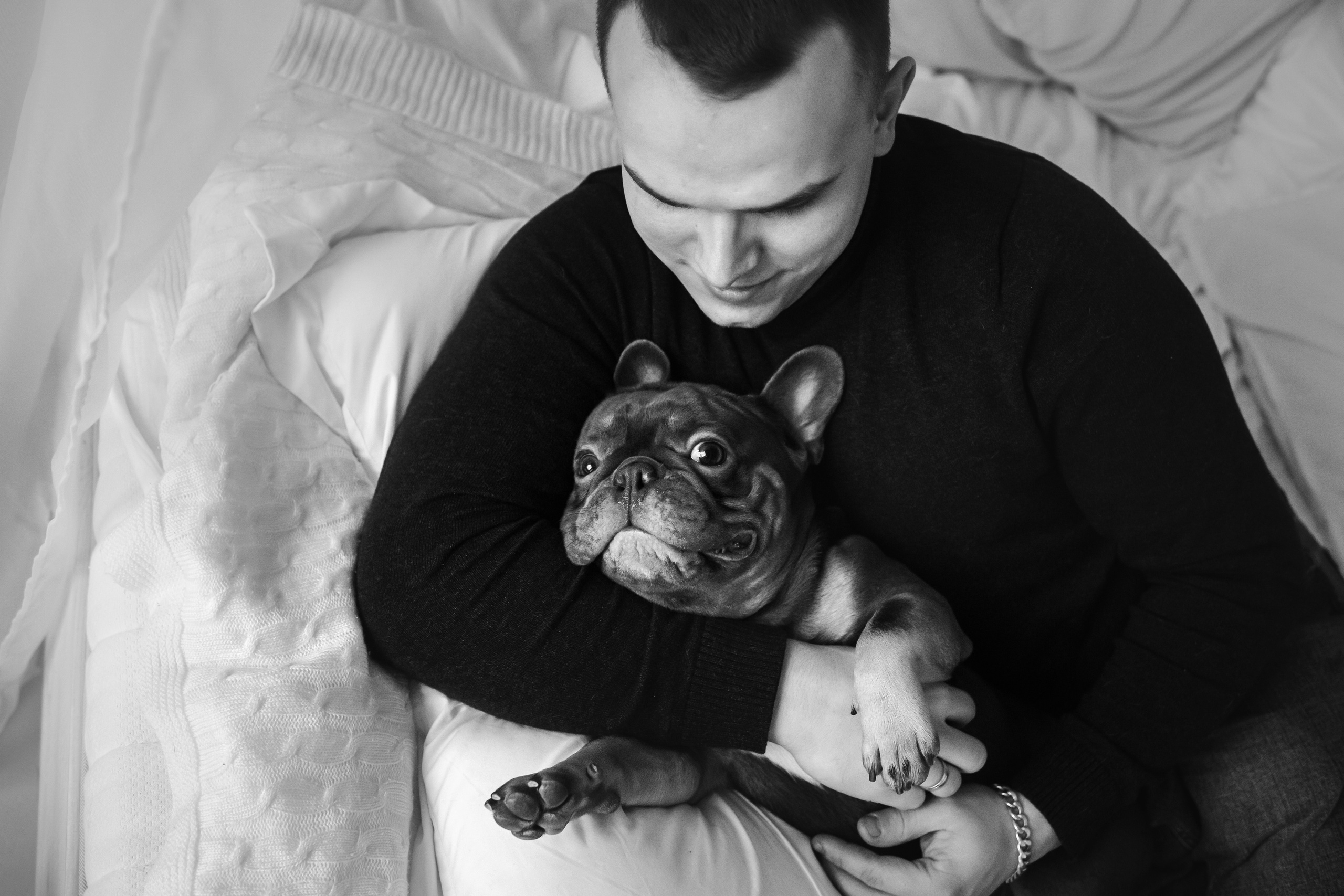 Фотосессия бульдогов Лео и Марса в догфрендли студии