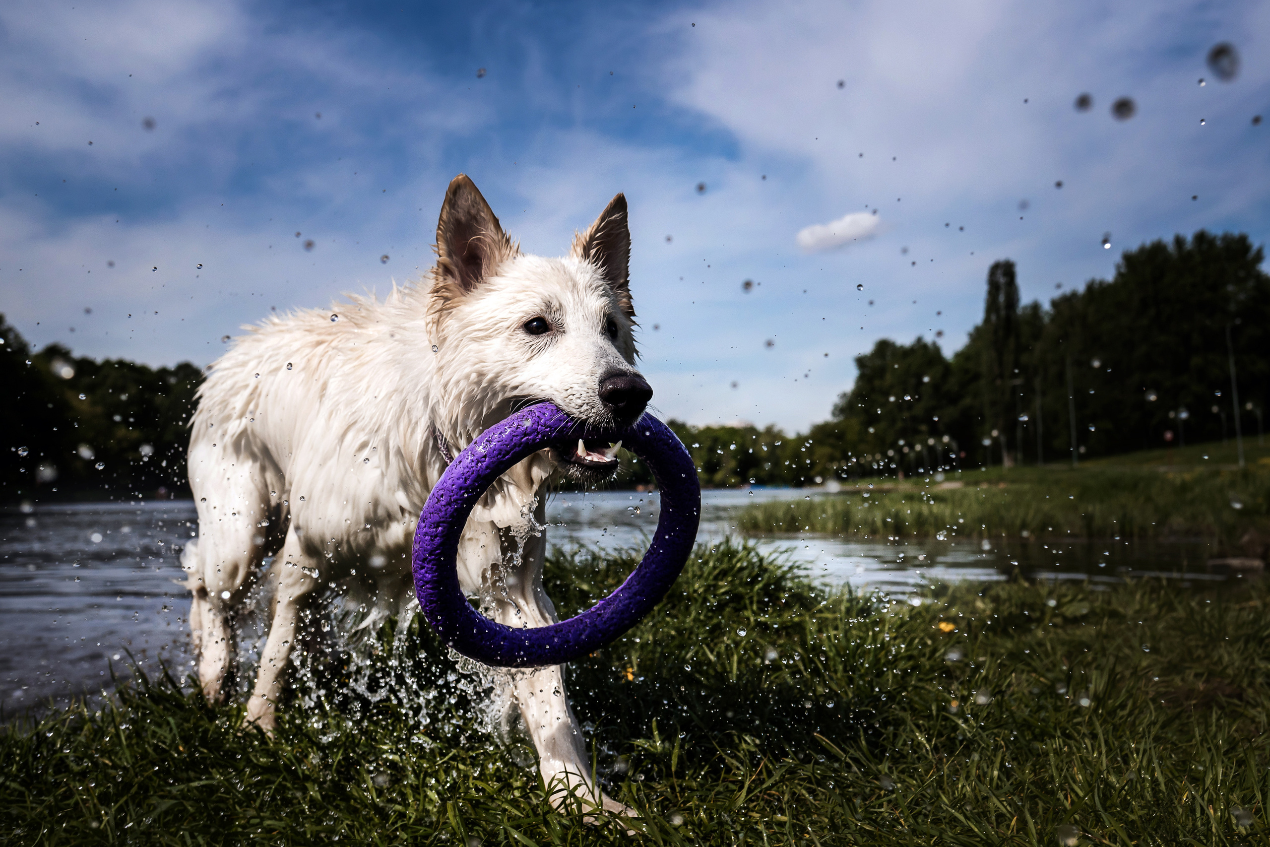 Фотосессия Светы, Юли и Олафа