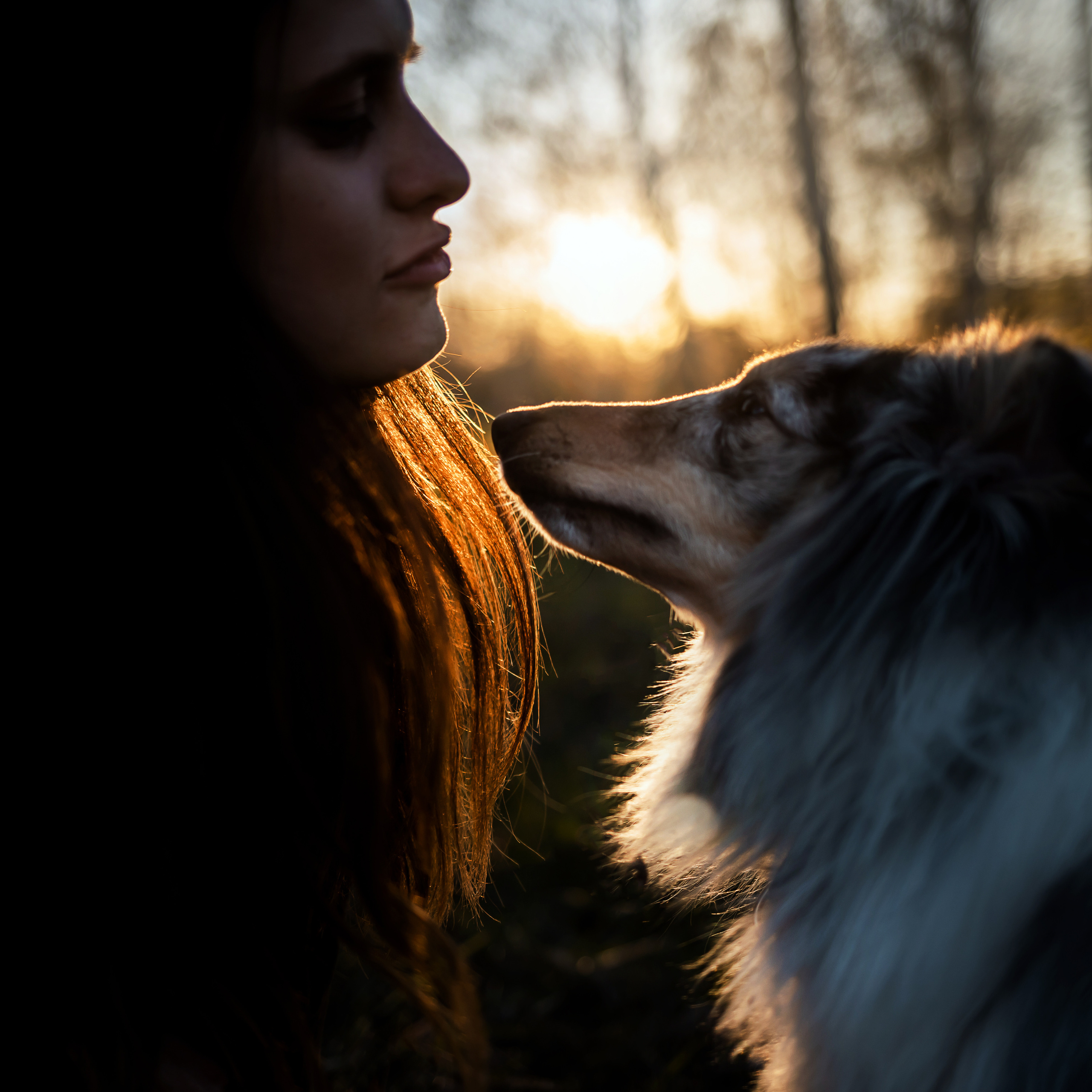 Фотосессия с шелти Скаем