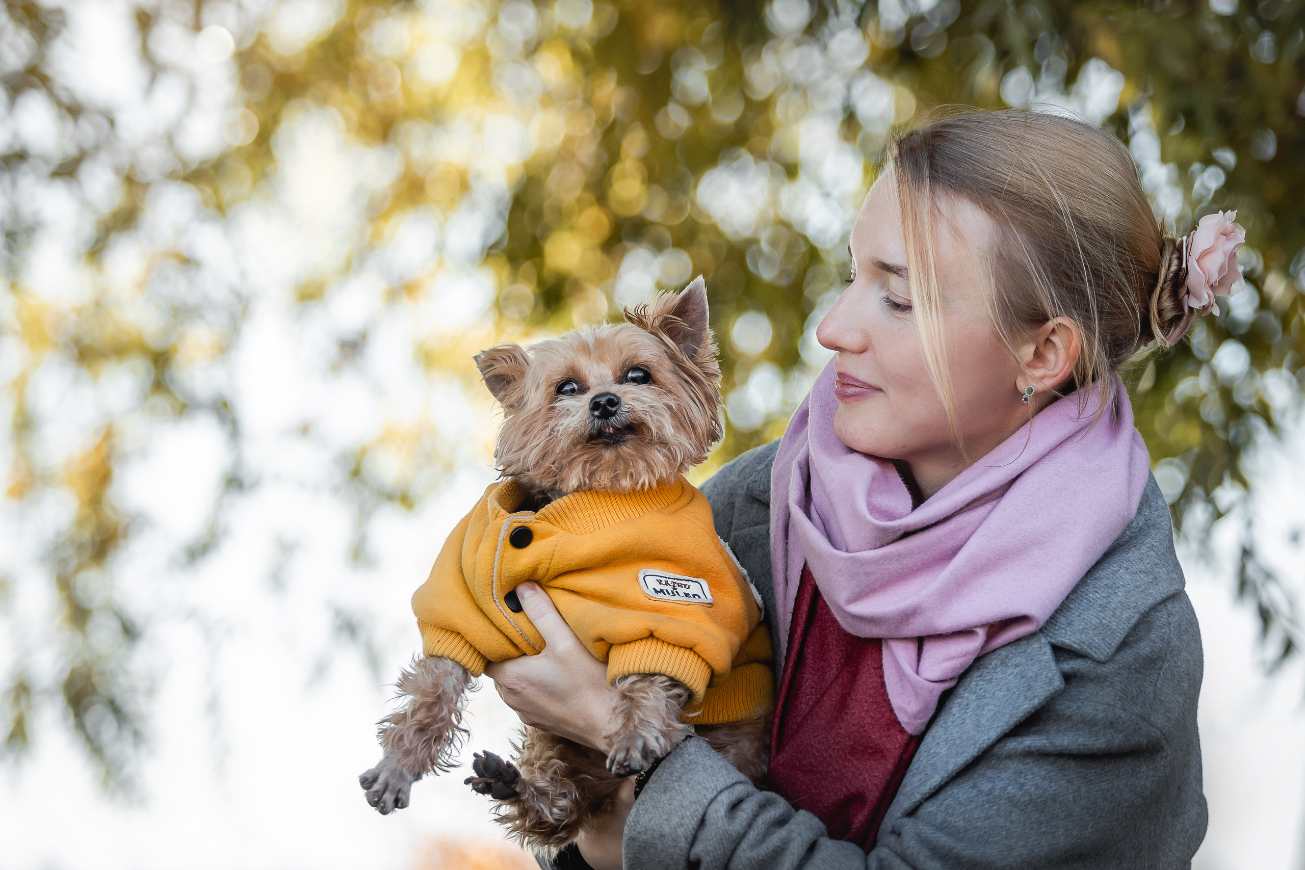 Фотосессия с собакой и котом. Ира, йорк Филя и кот Леброн