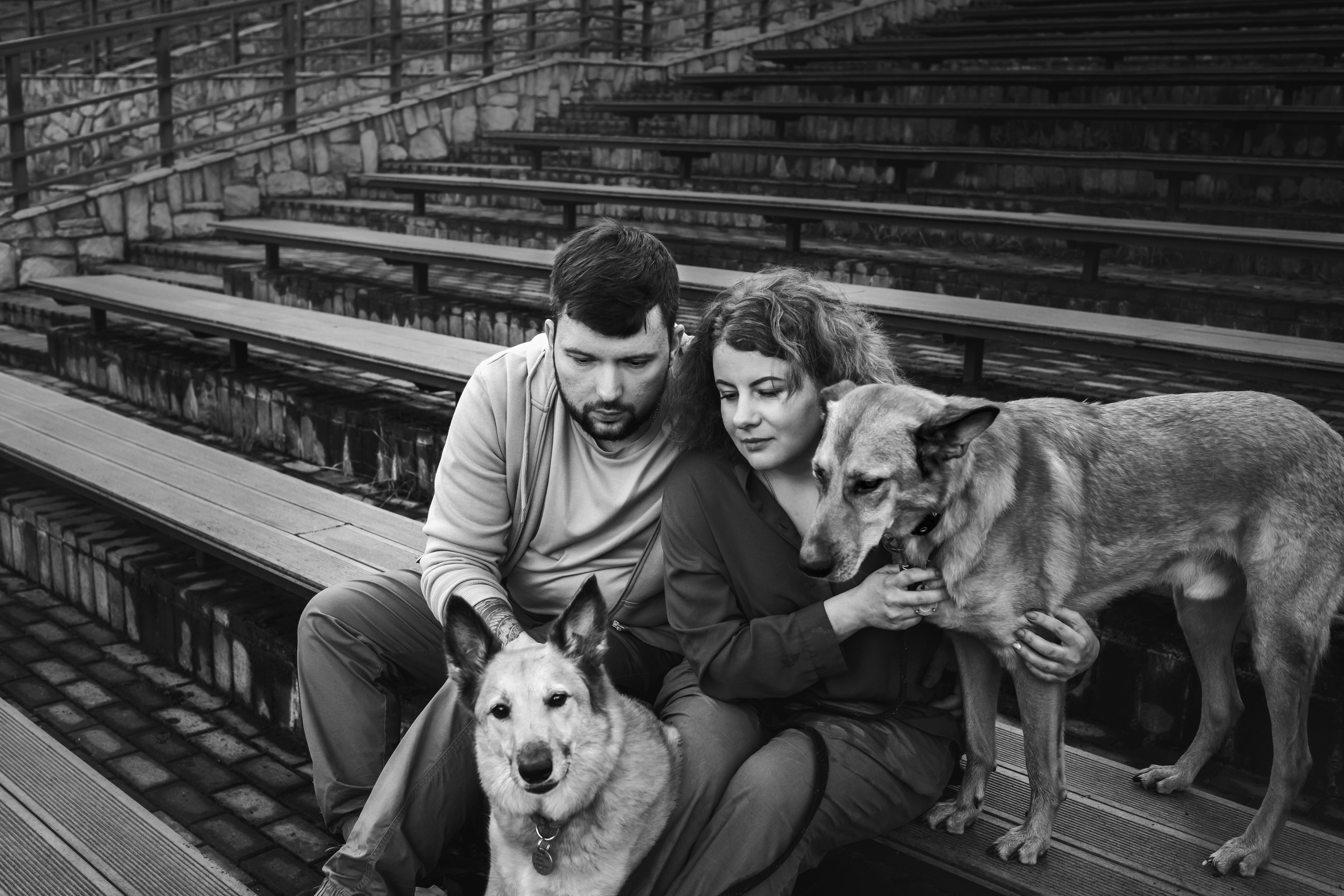 Фотосессия на рассвете собаки Росси, Саввы и их семьи