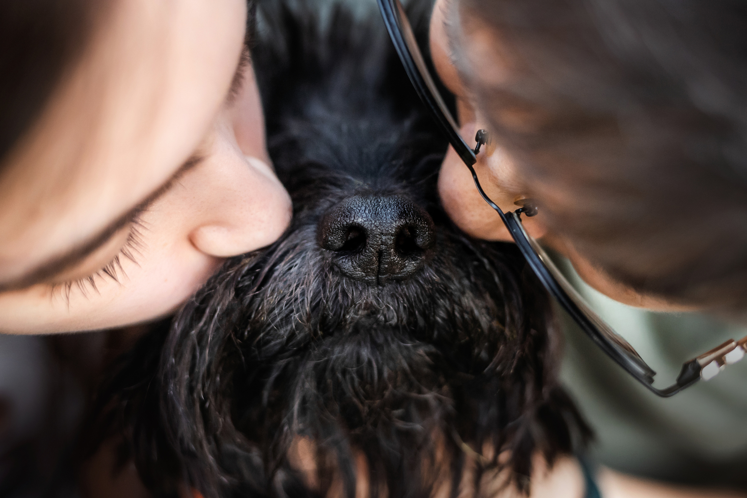 Фотосессия Урсы, Йоши и их семьи