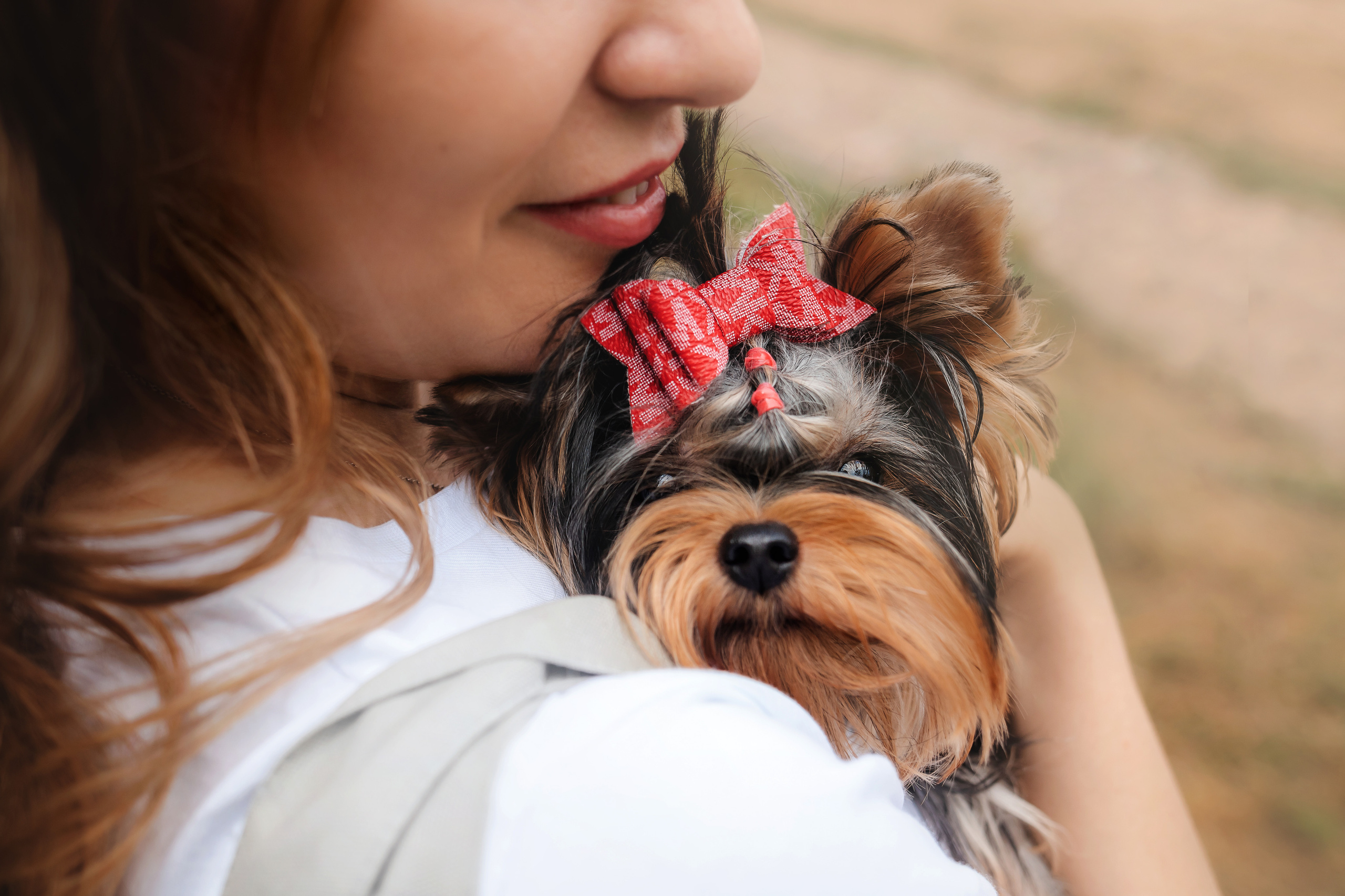 Фотосессия йорка Юли и ее семья