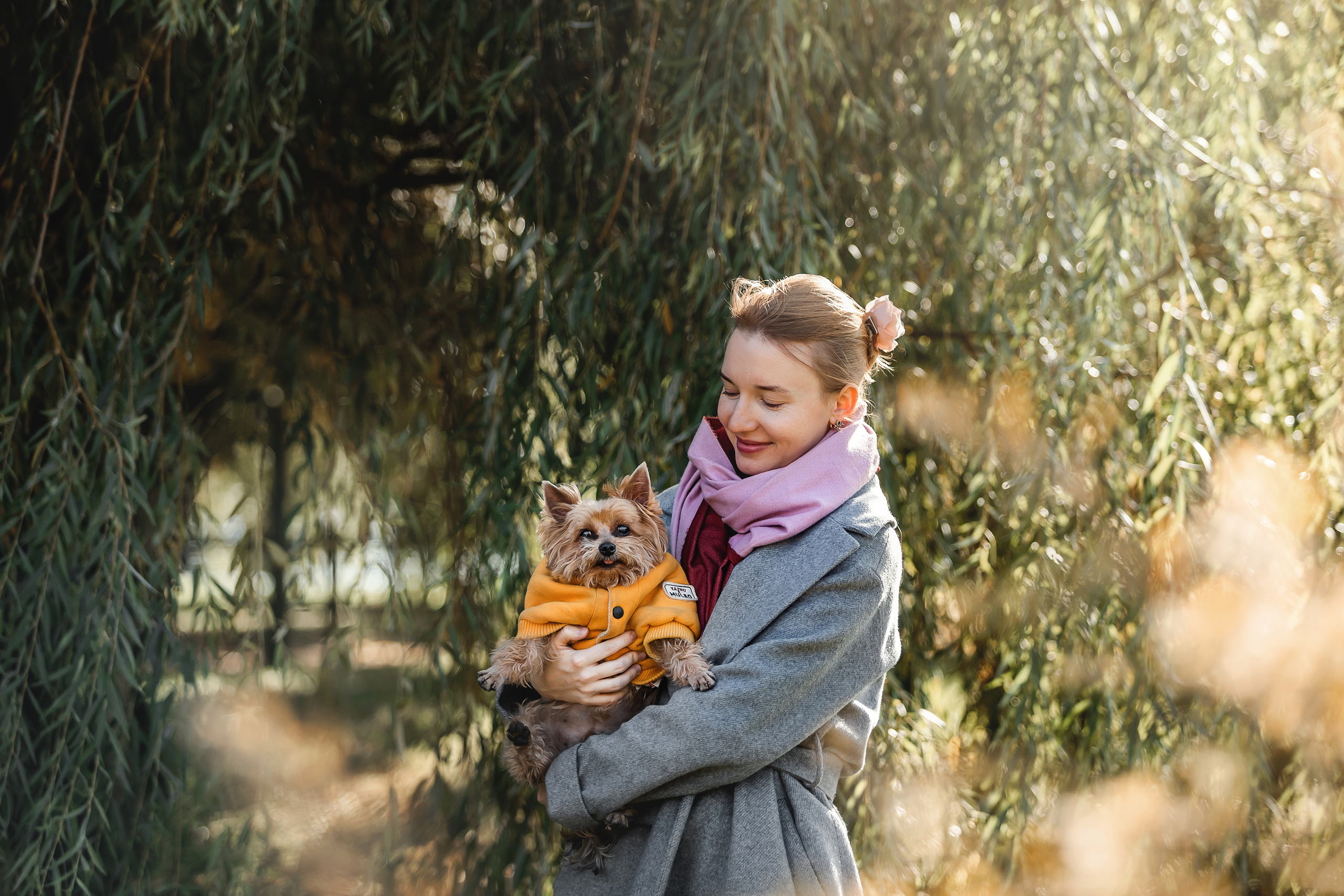 Фотосессия с собакой и котом. Ира, йорк Филя и кот Леброн