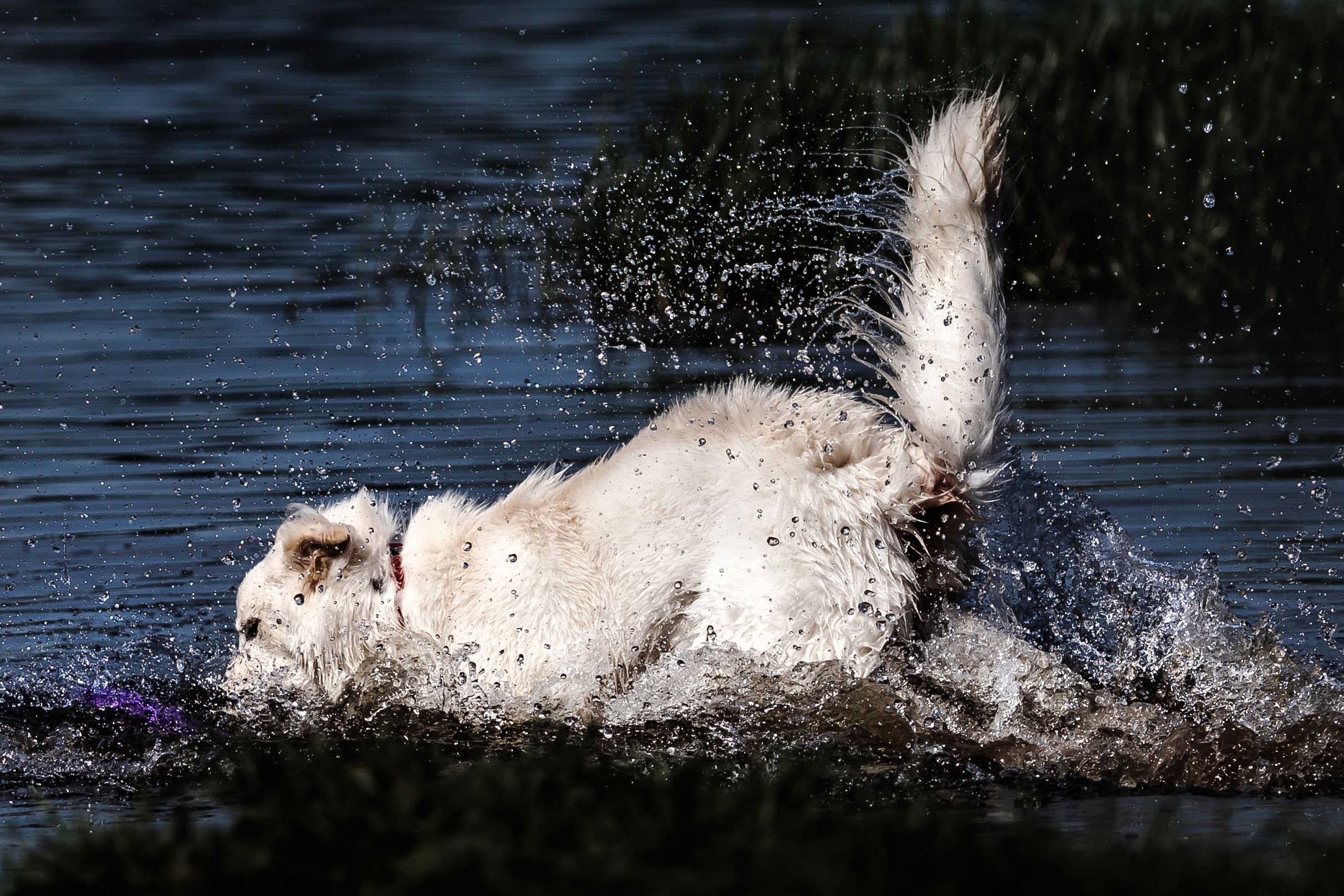 Фотосессия Светы, Юли и Олафа