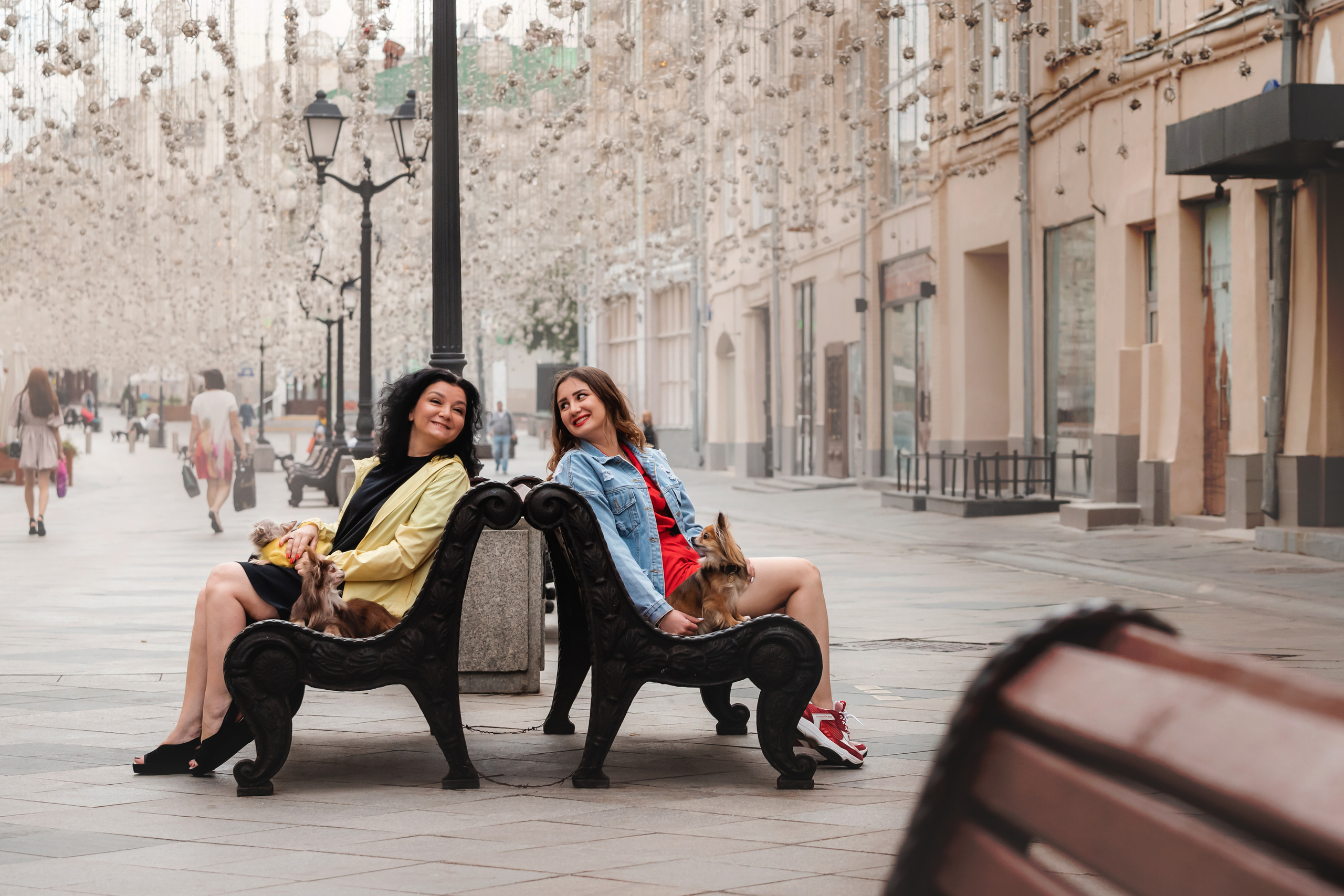 Фотосессия с чихуахуа в центре Москвы