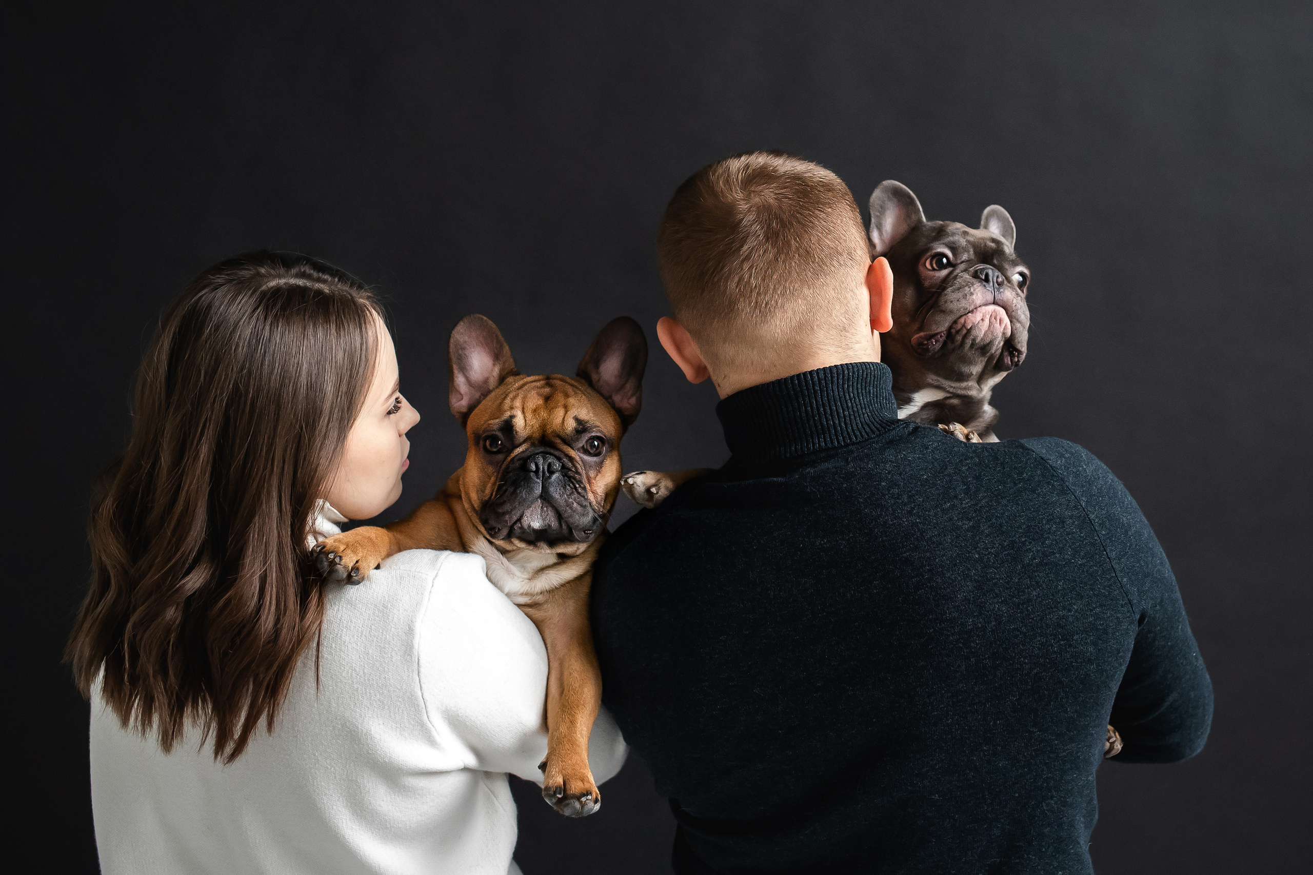 Фотосессия бульдогов Лео и Марса в догфрендли студии