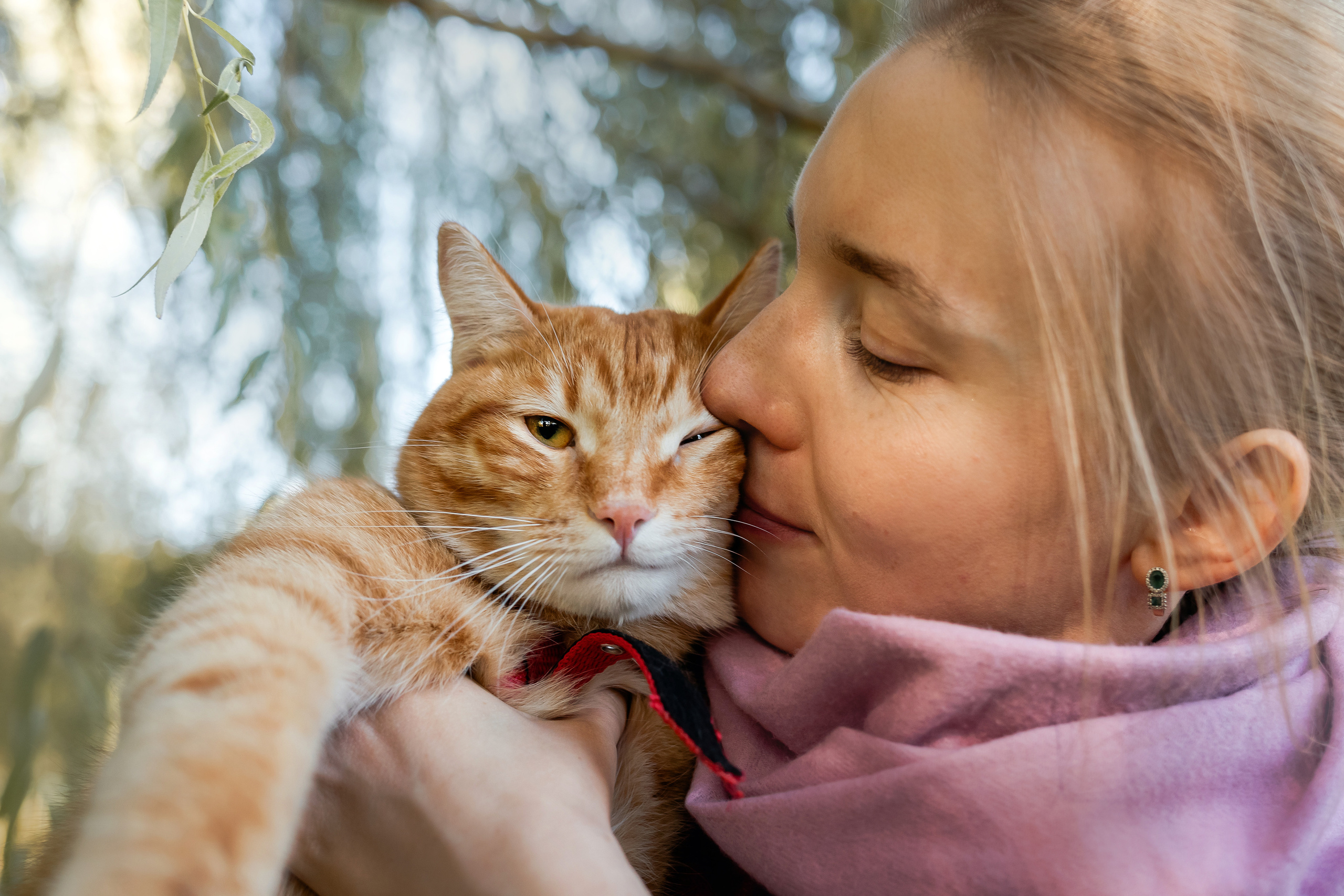 Фотосессия с собакой и котом. Ира, йорк Филя и кот Леброн