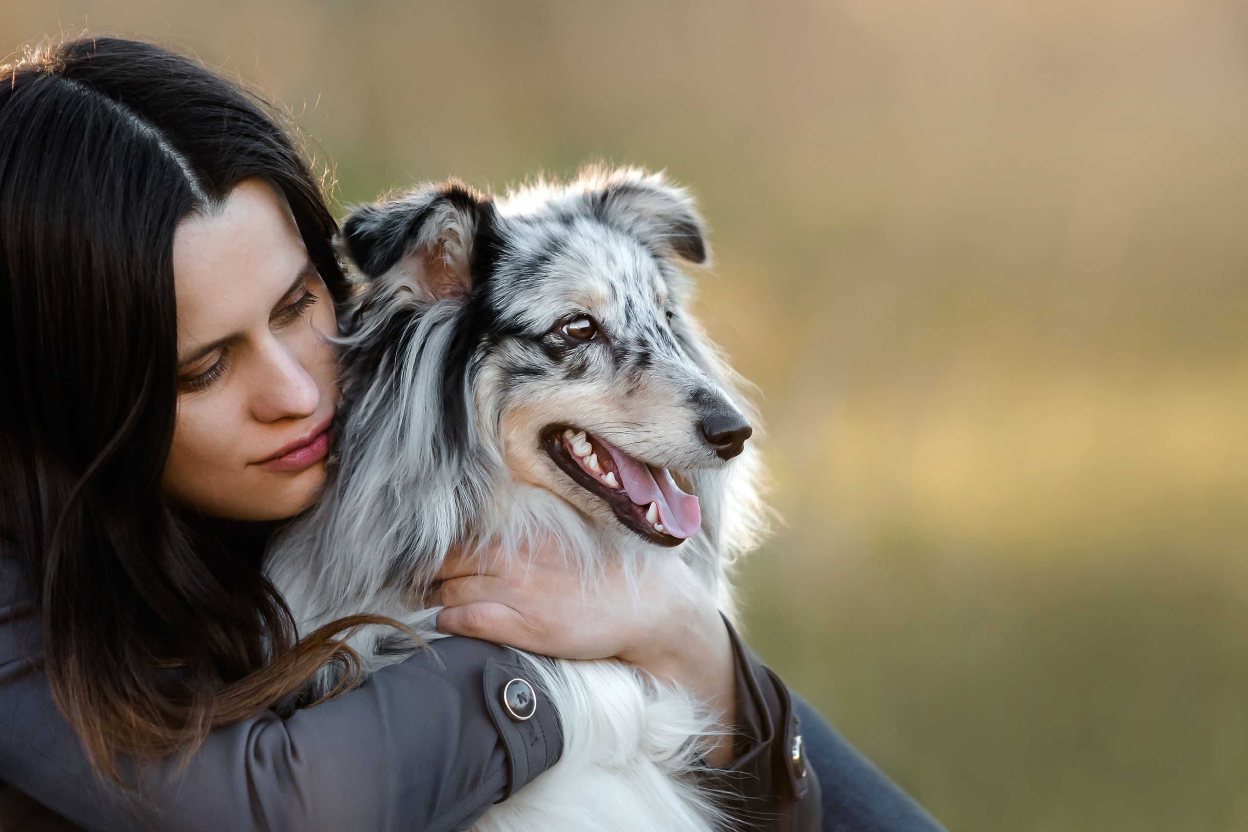 Фотосессия с шелти Скаем