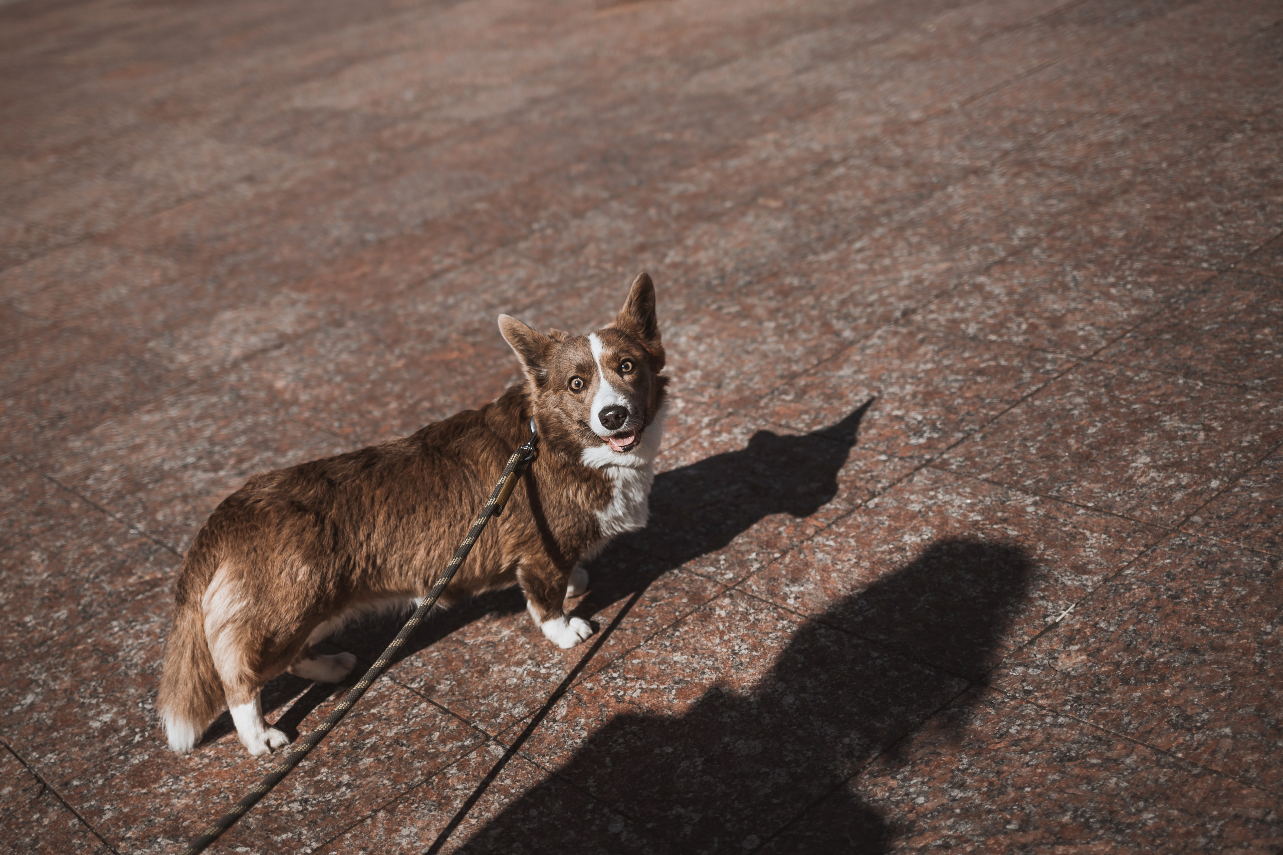 Кристина и Лулуди