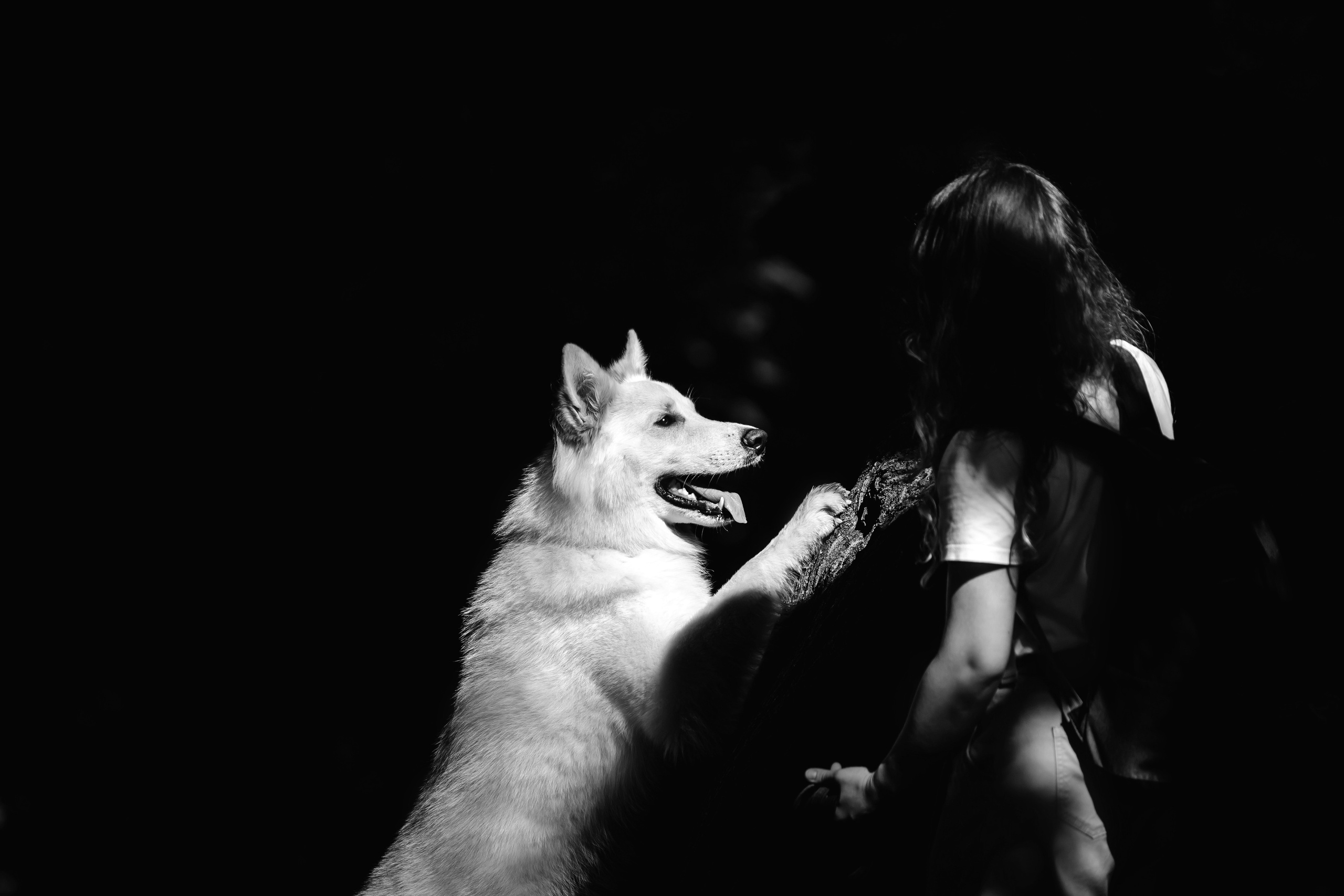 Фотосессия Светы, Юли и Олафа