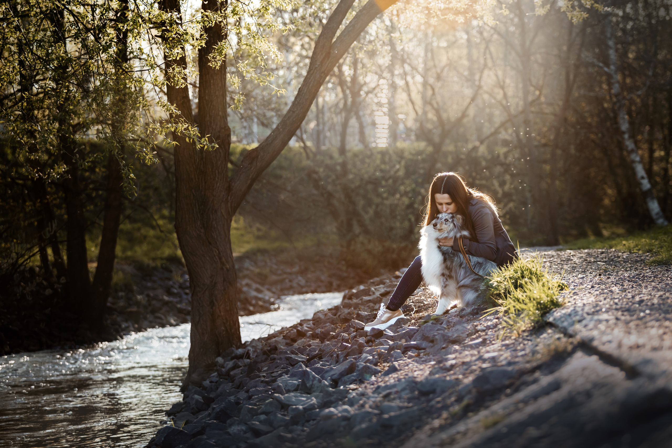 Фотосессия с шелти Скаем