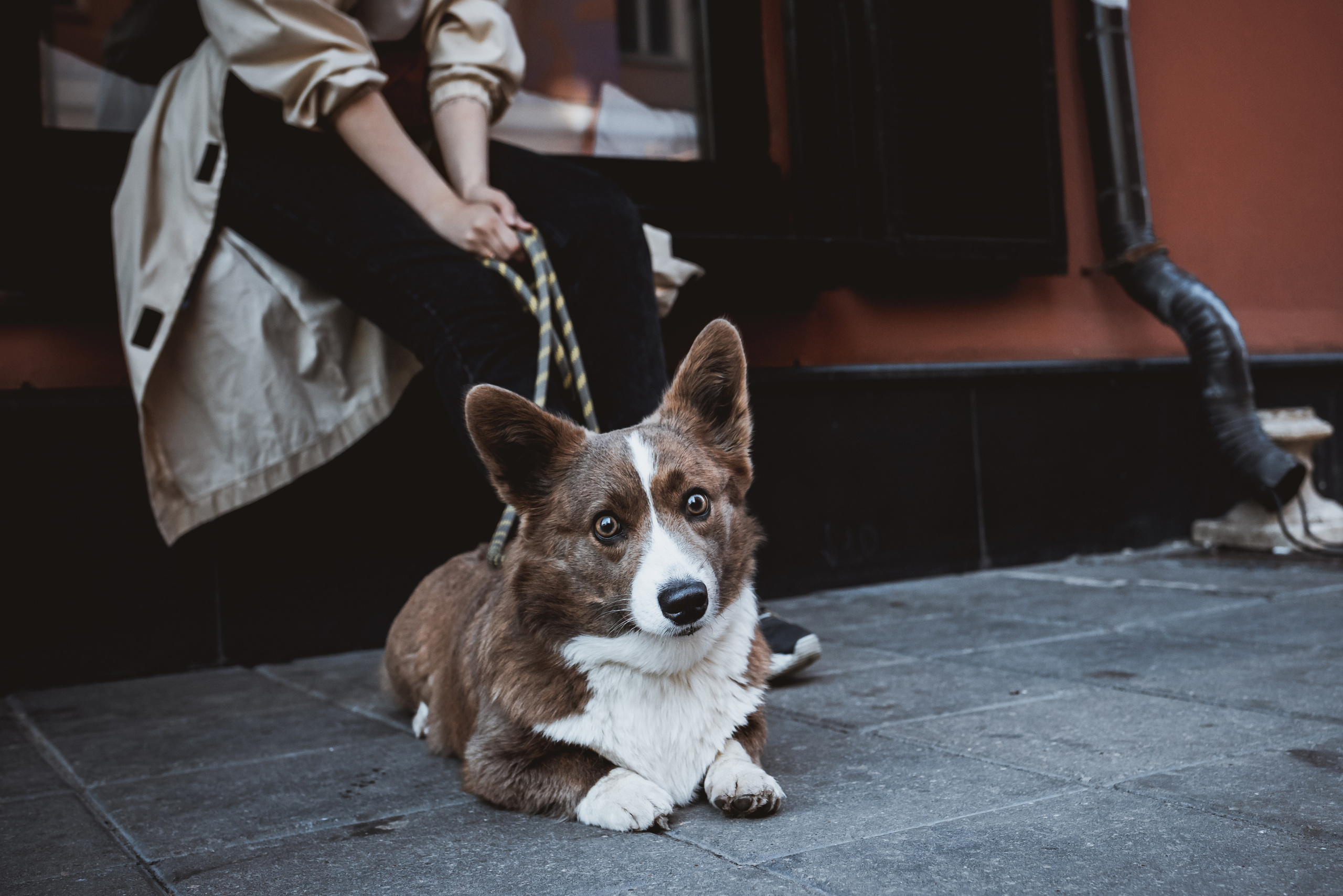 Кристина и Лулуди