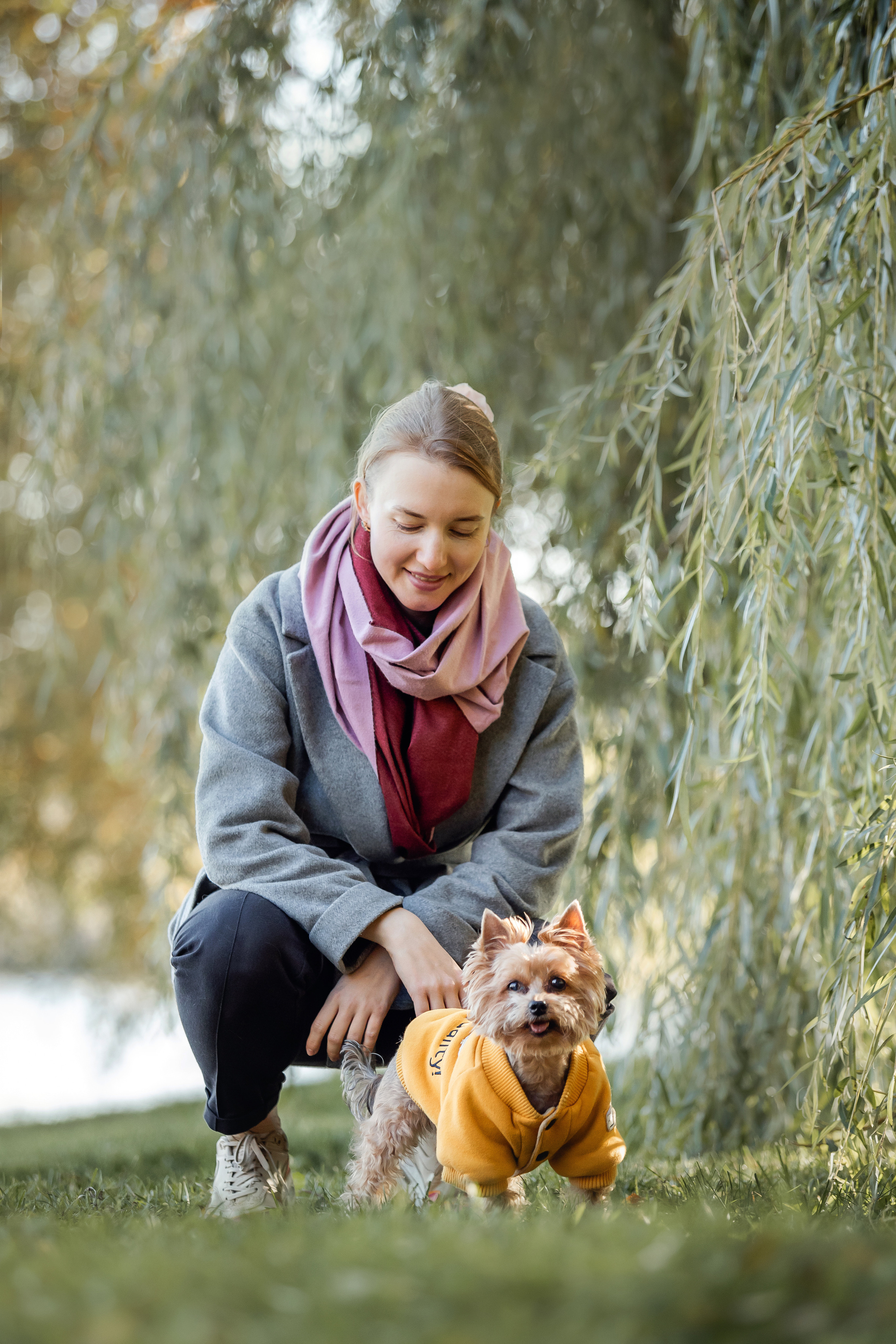Фотосессия с собакой и котом. Ира, йорк Филя и кот Леброн