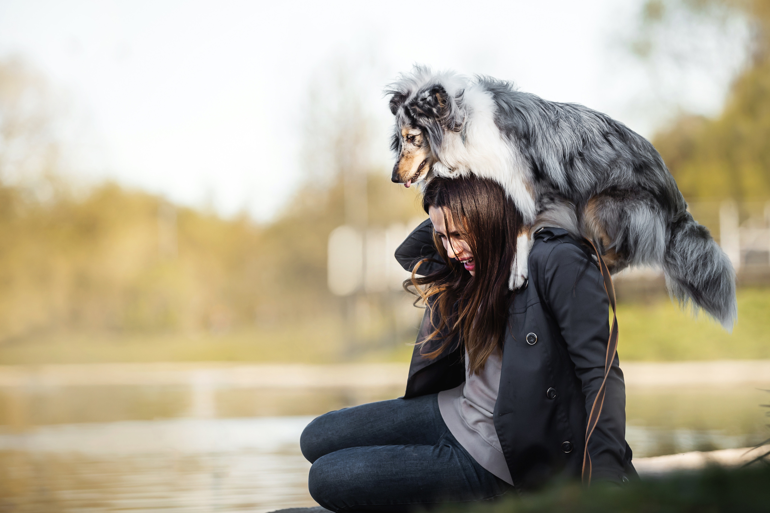 Фотосессия с шелти Скаем