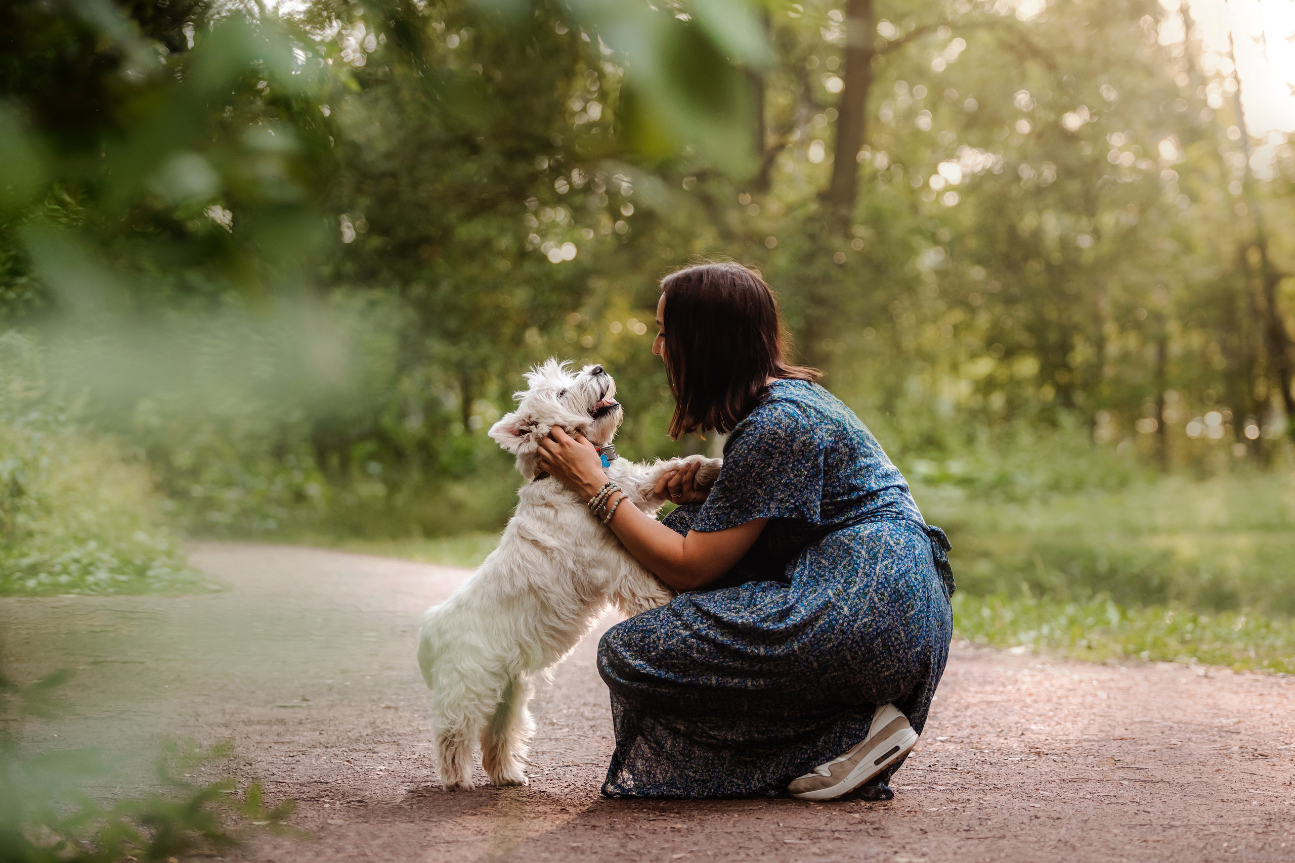 Перся и его семья в Ботаническом лесу