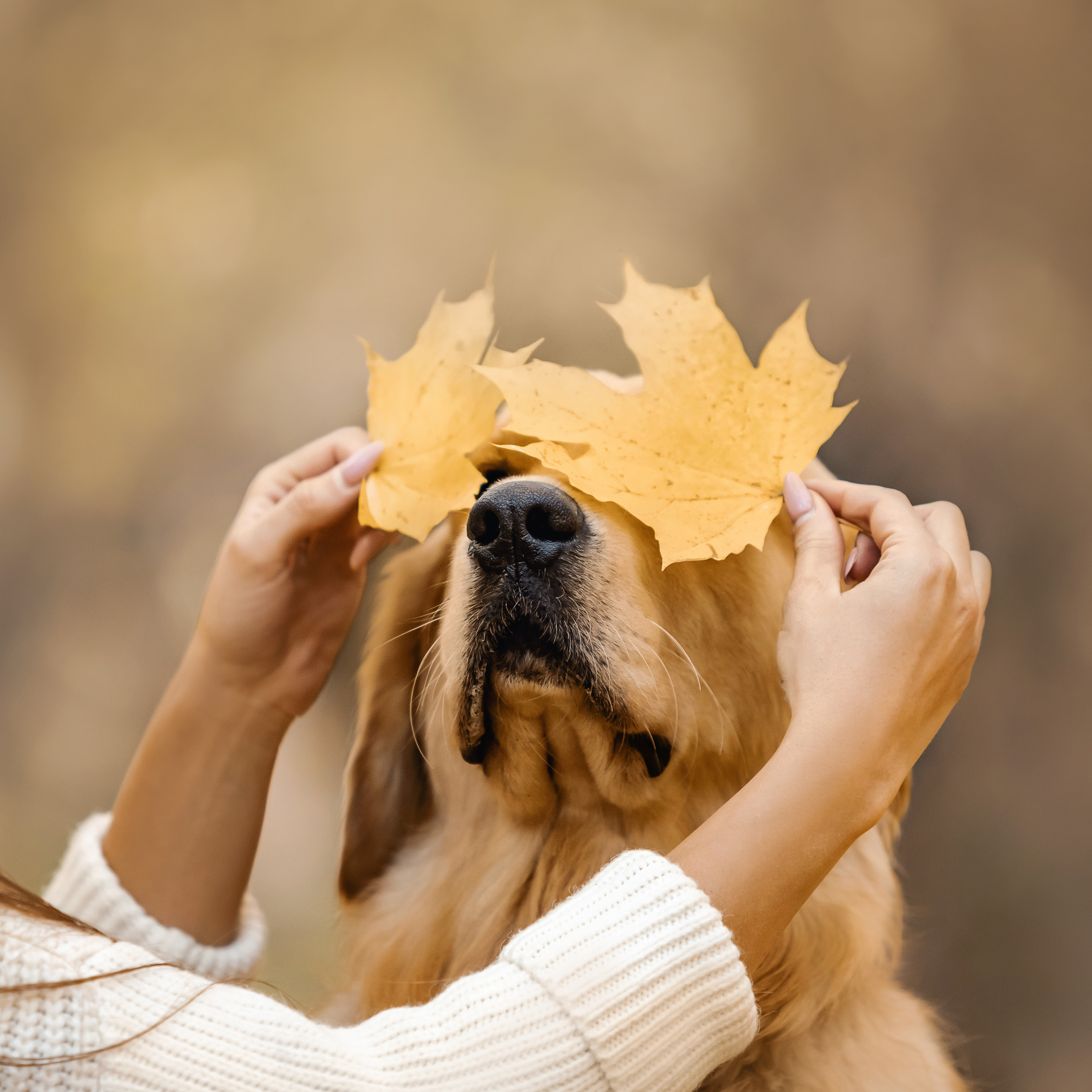 Фотосессия Марины и Паскаля