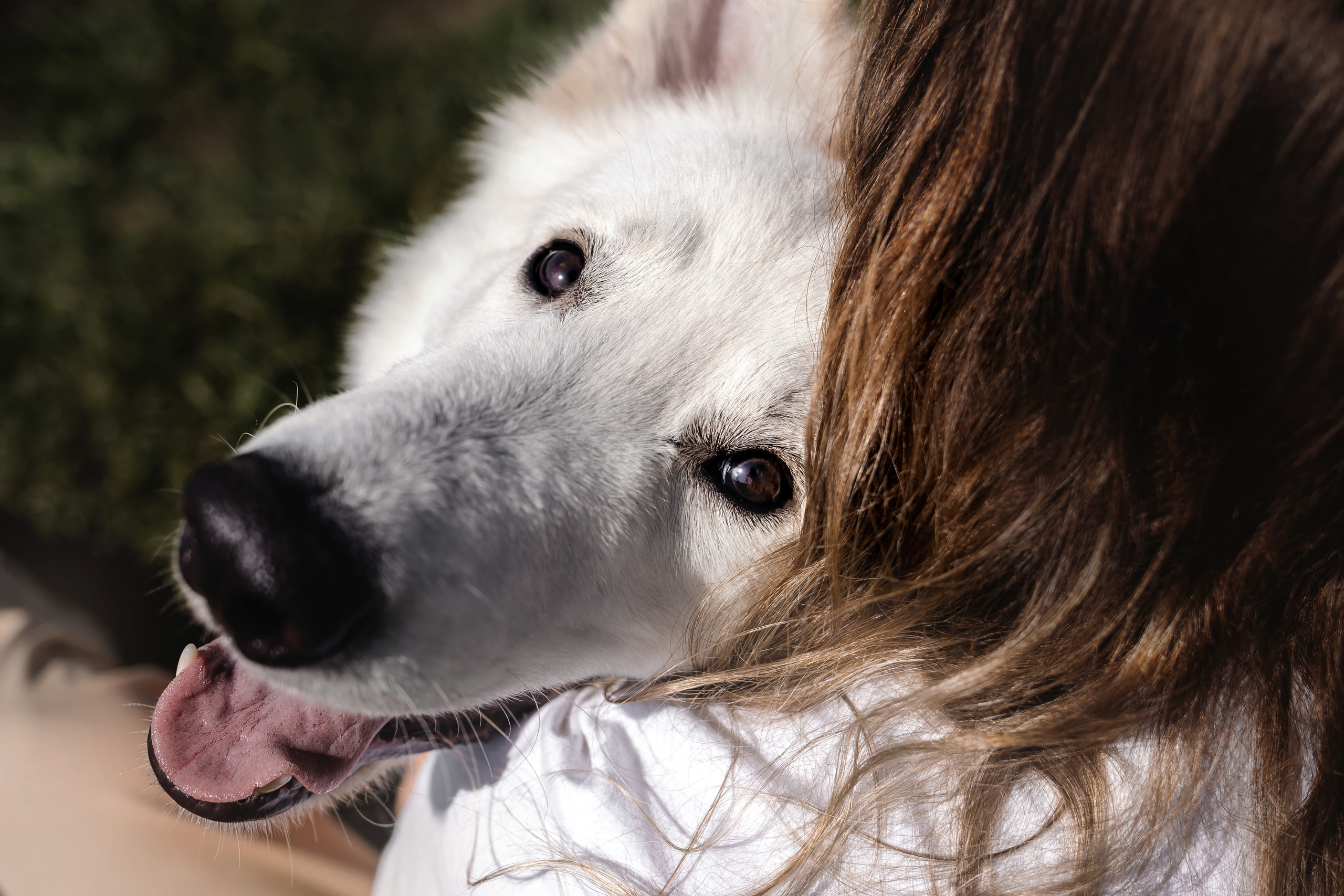 Фотосессия Светы, Юли и Олафа