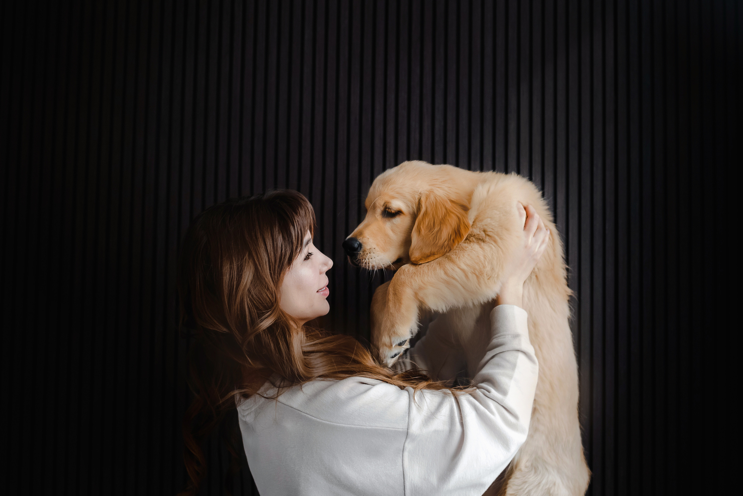 домашняя фотосессия с щенком