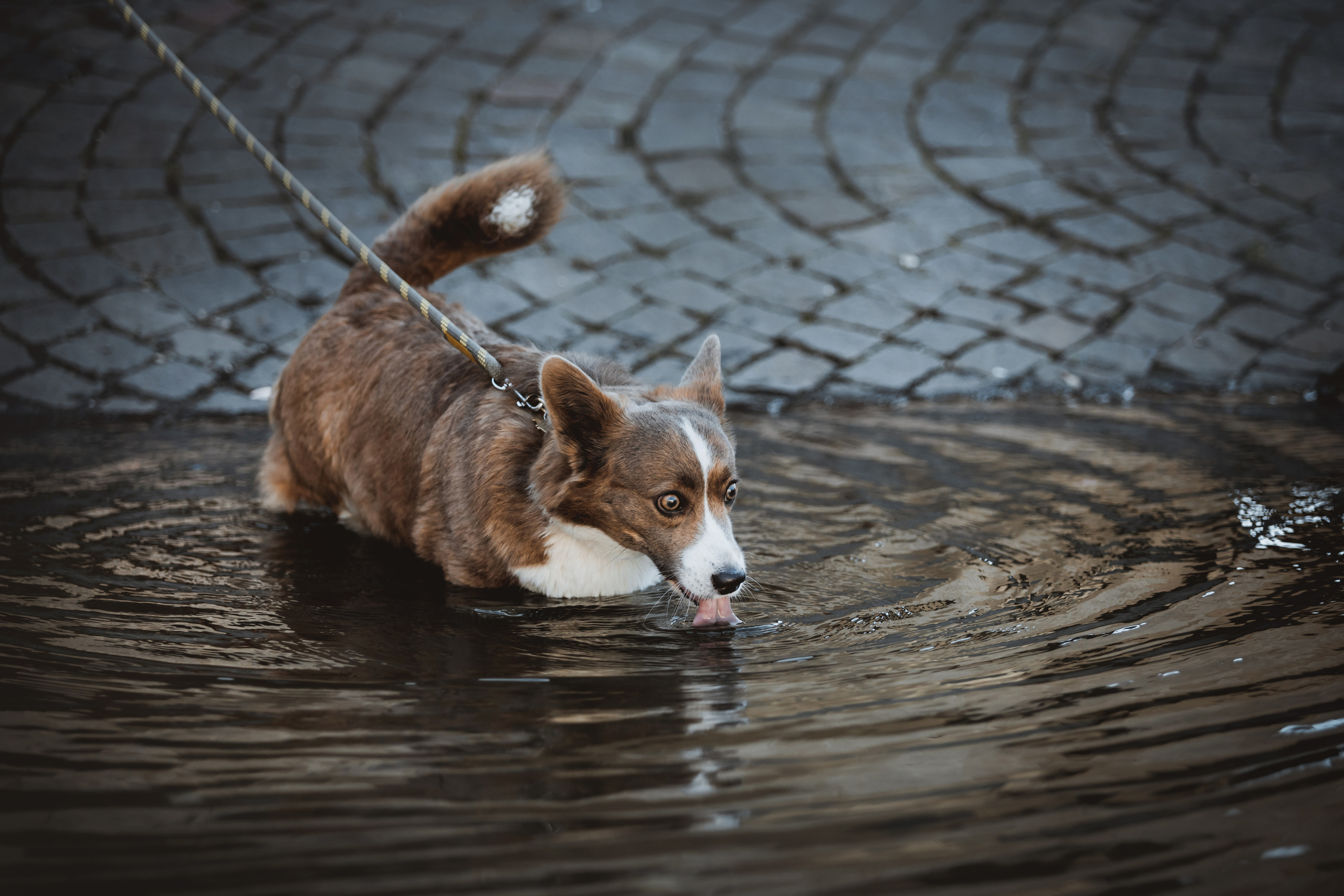 Кристина и Лулуди