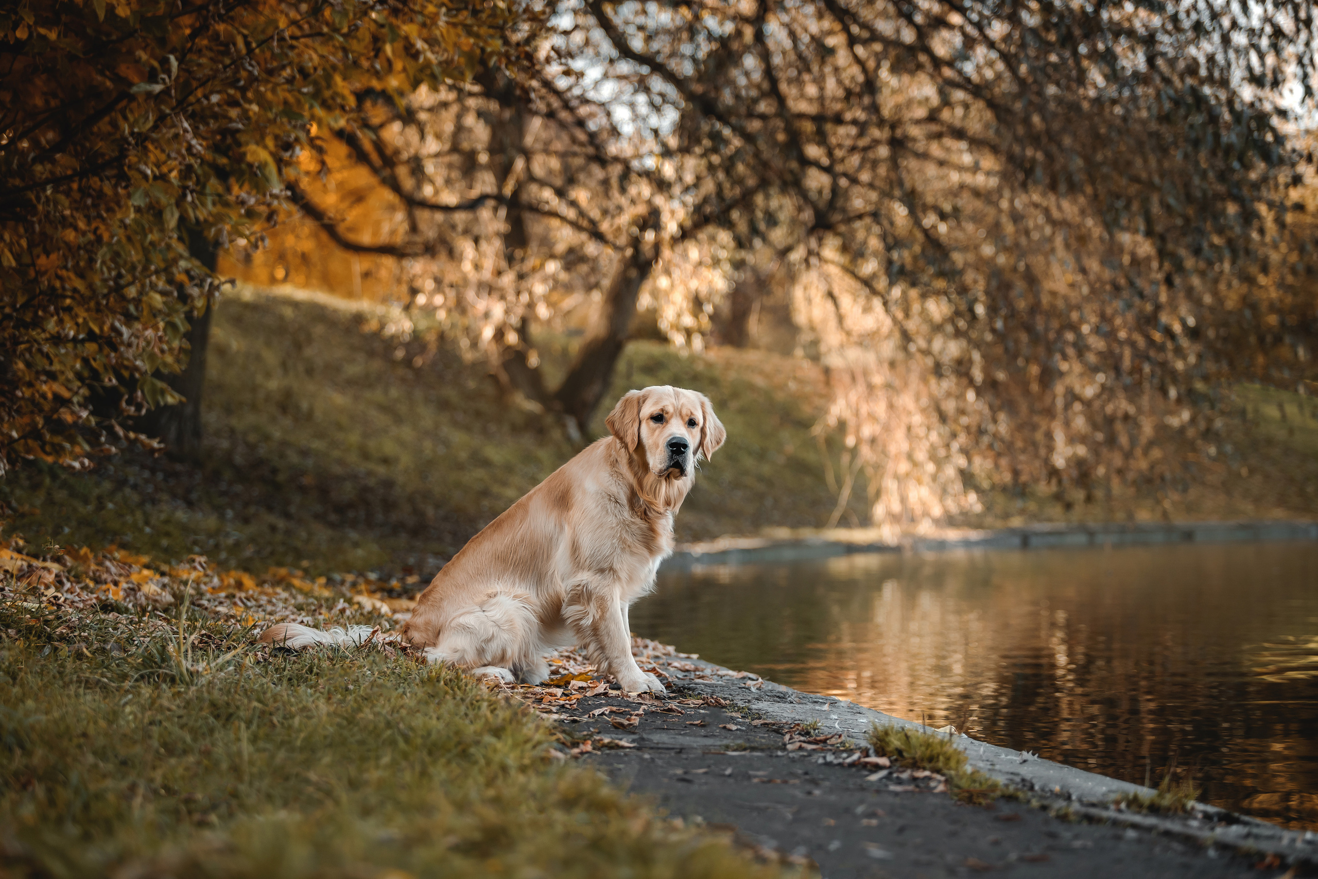 Фотосессия Марины и Паскаля