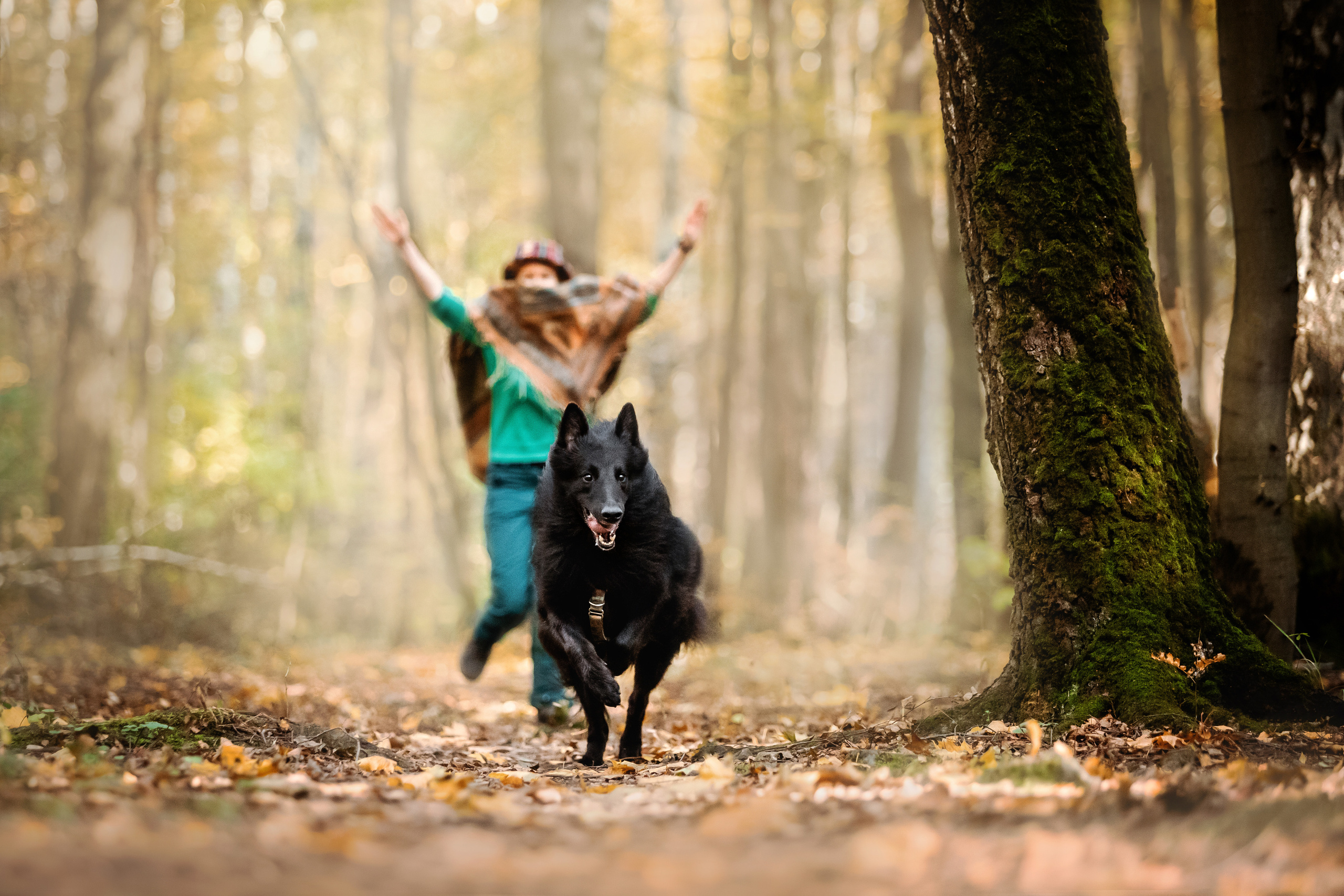 Фотосессия с грюнендалем Йаррхи