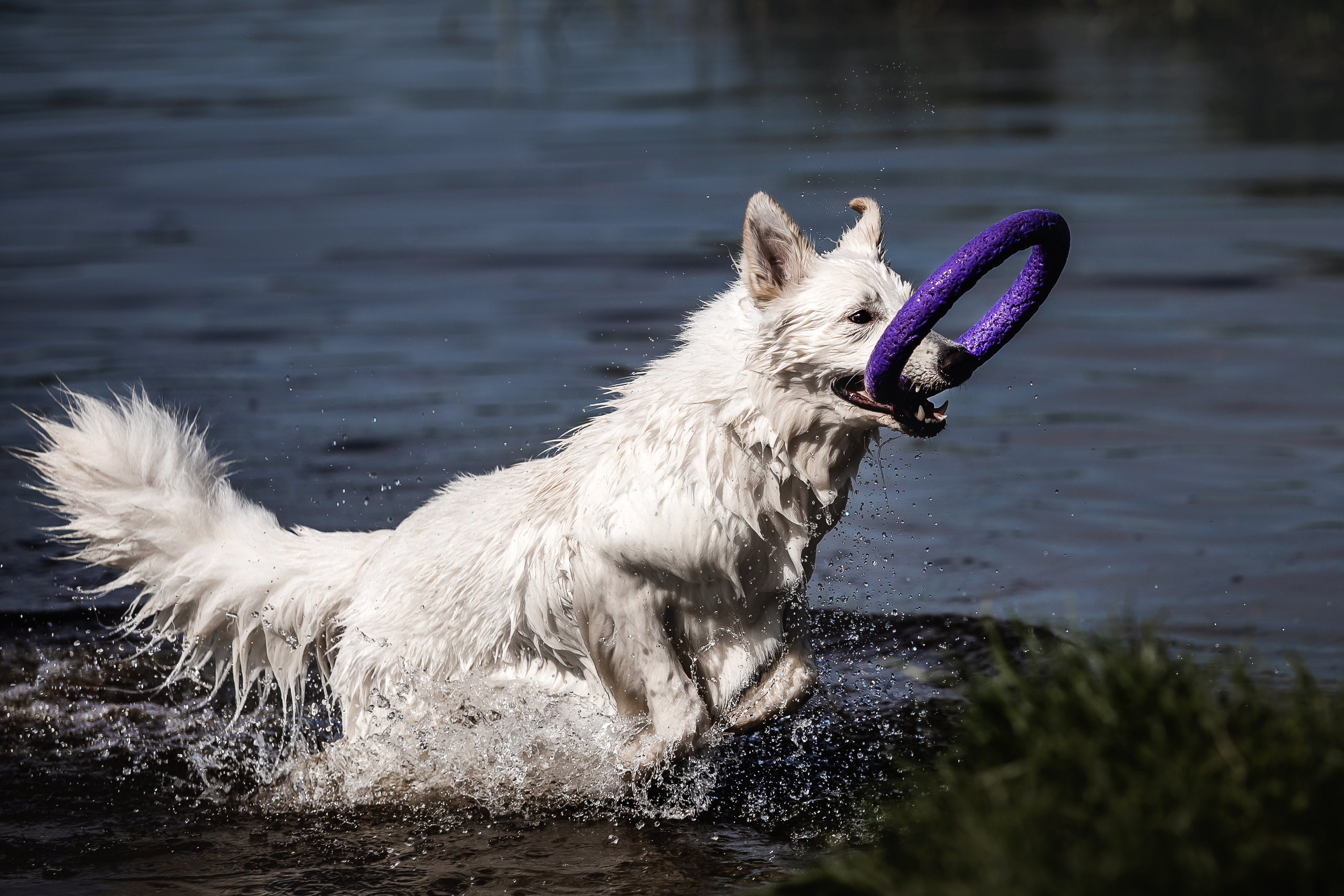 Фотосессия Светы, Юли и Олафа