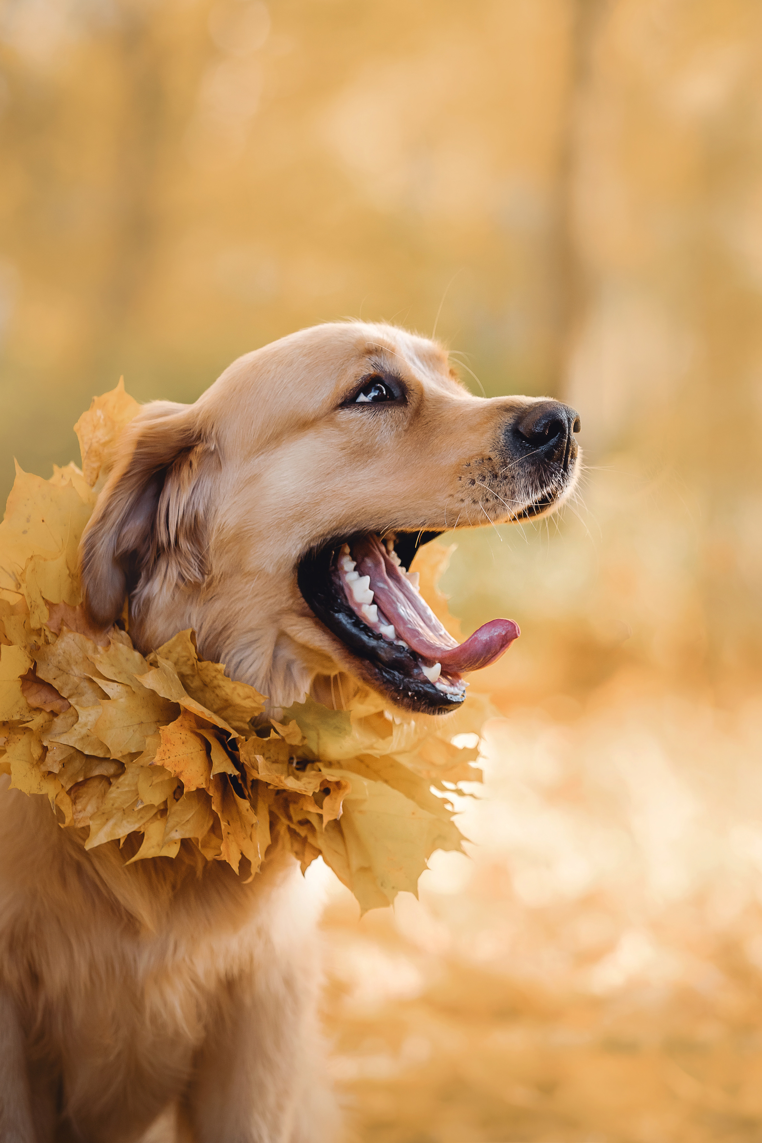 Фотосессия Марины и Паскаля