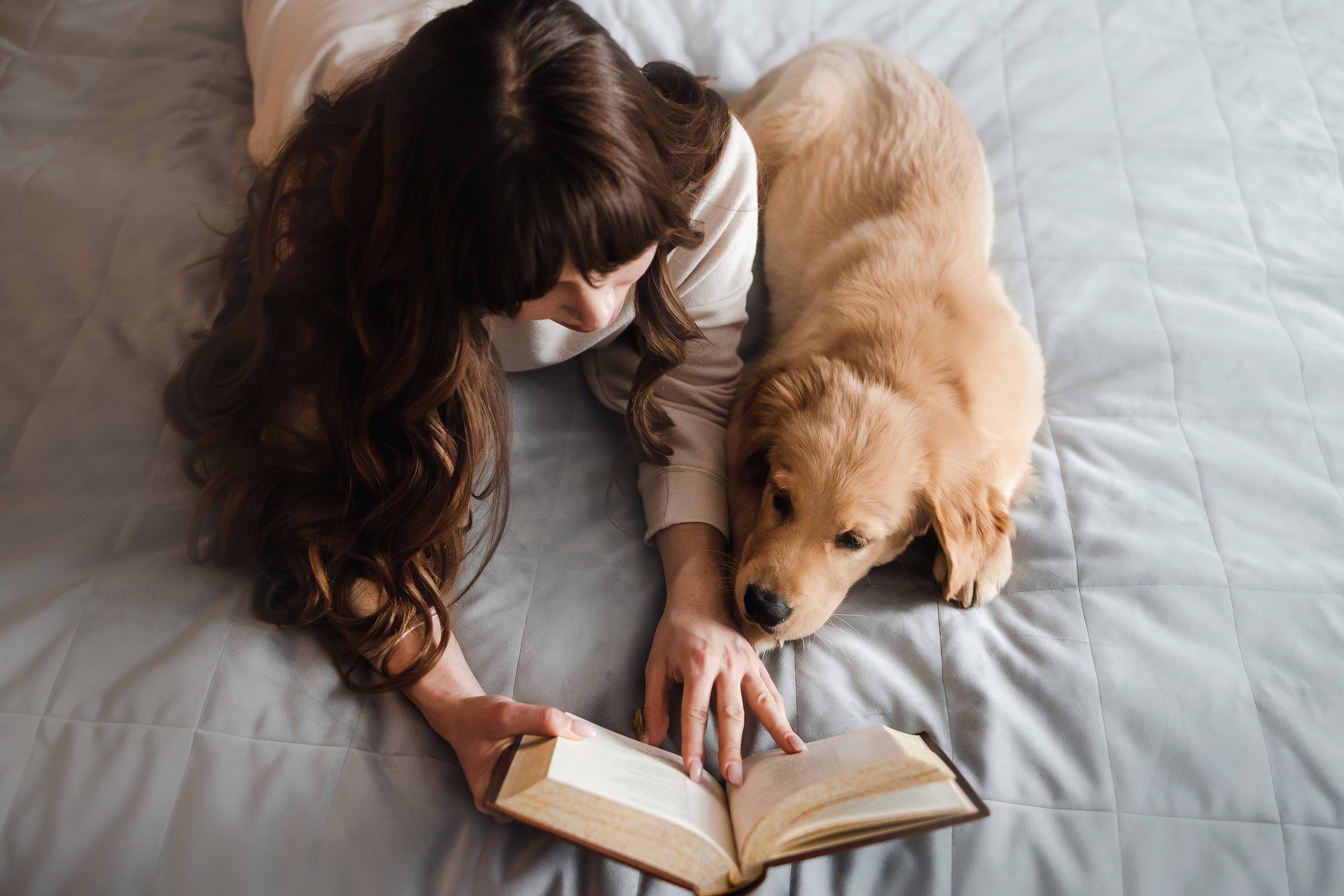 домашняя фотосессия с щенком