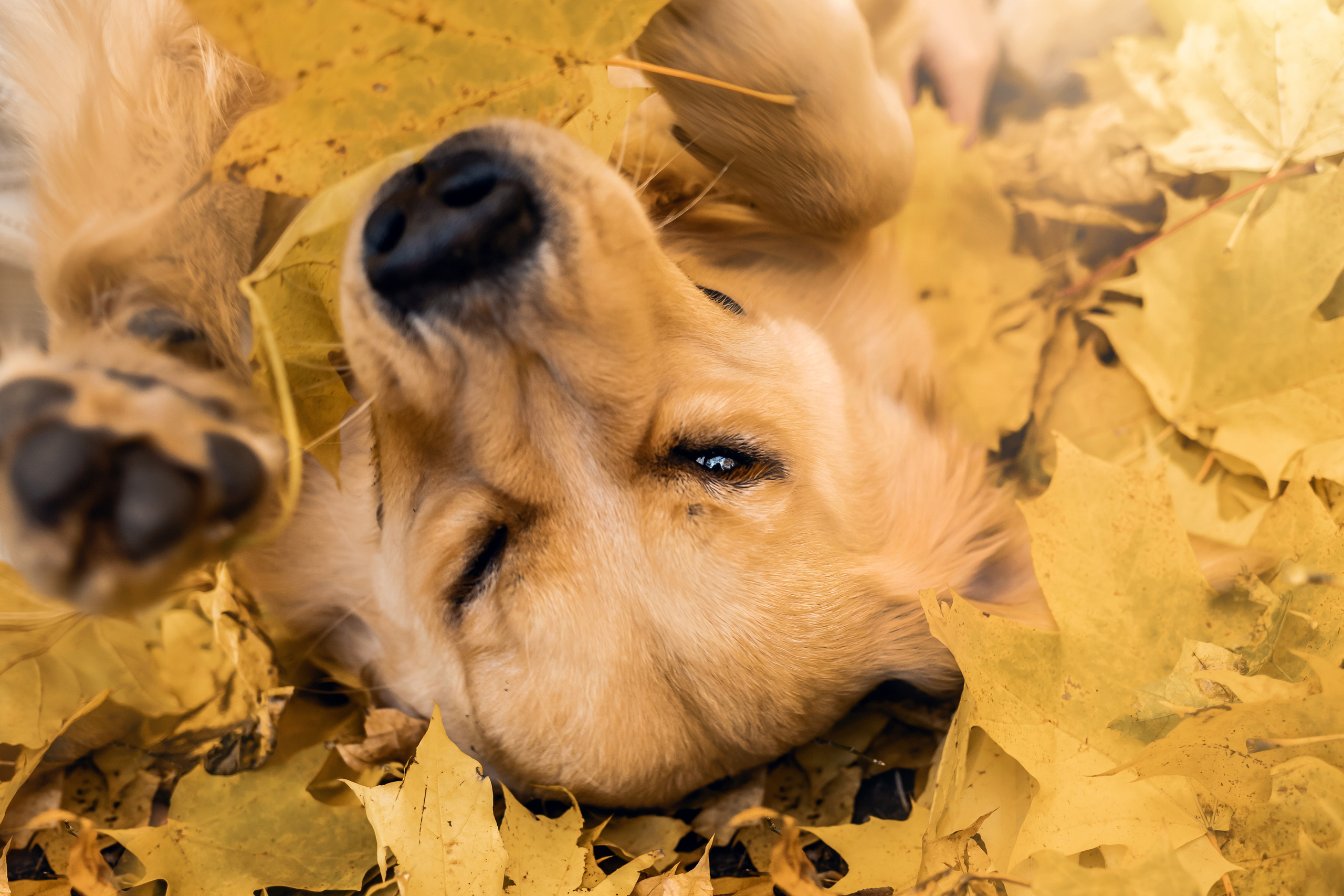 Фотосессия Марины и Паскаля