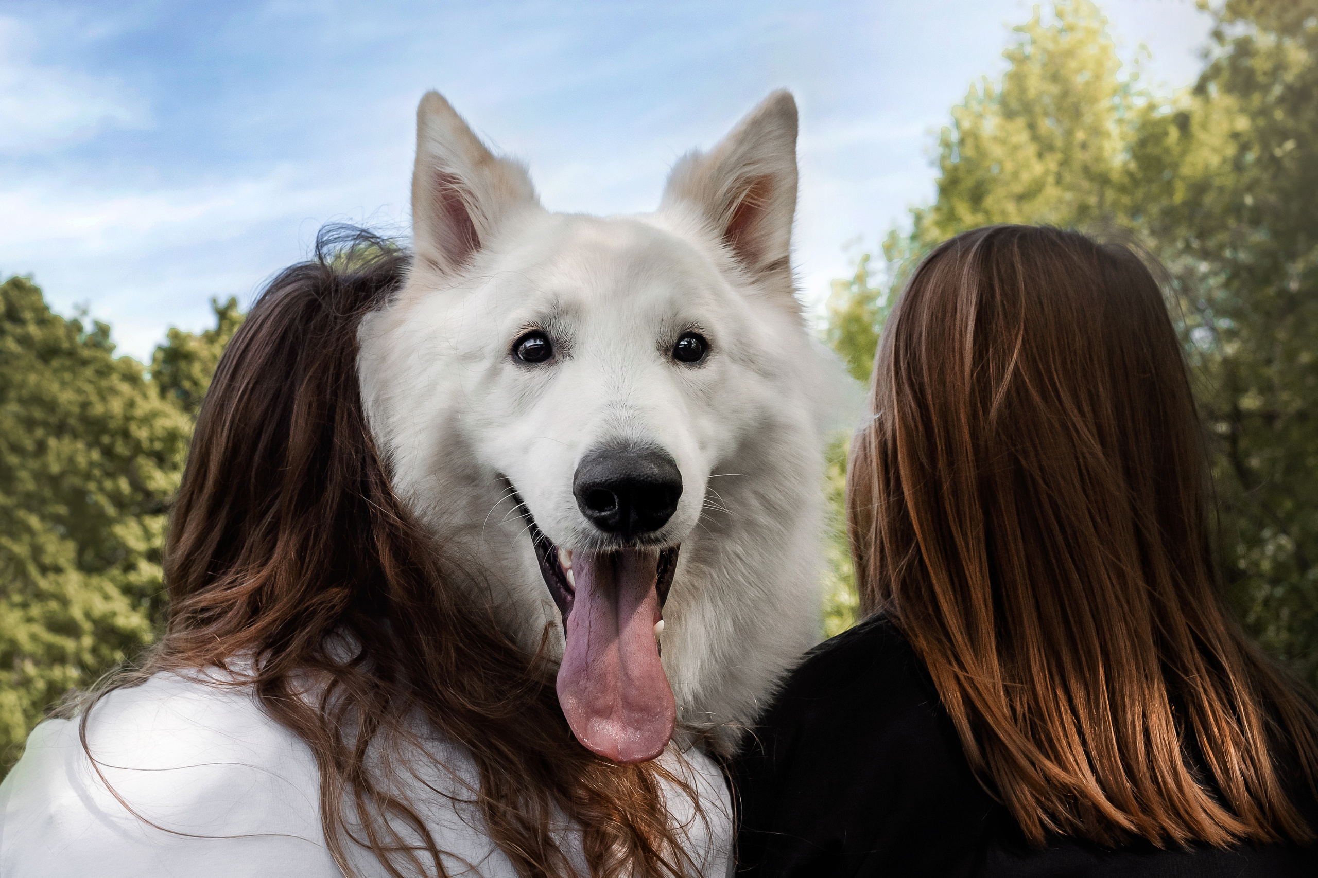 Фотосессия Светы, Юли и Олафа