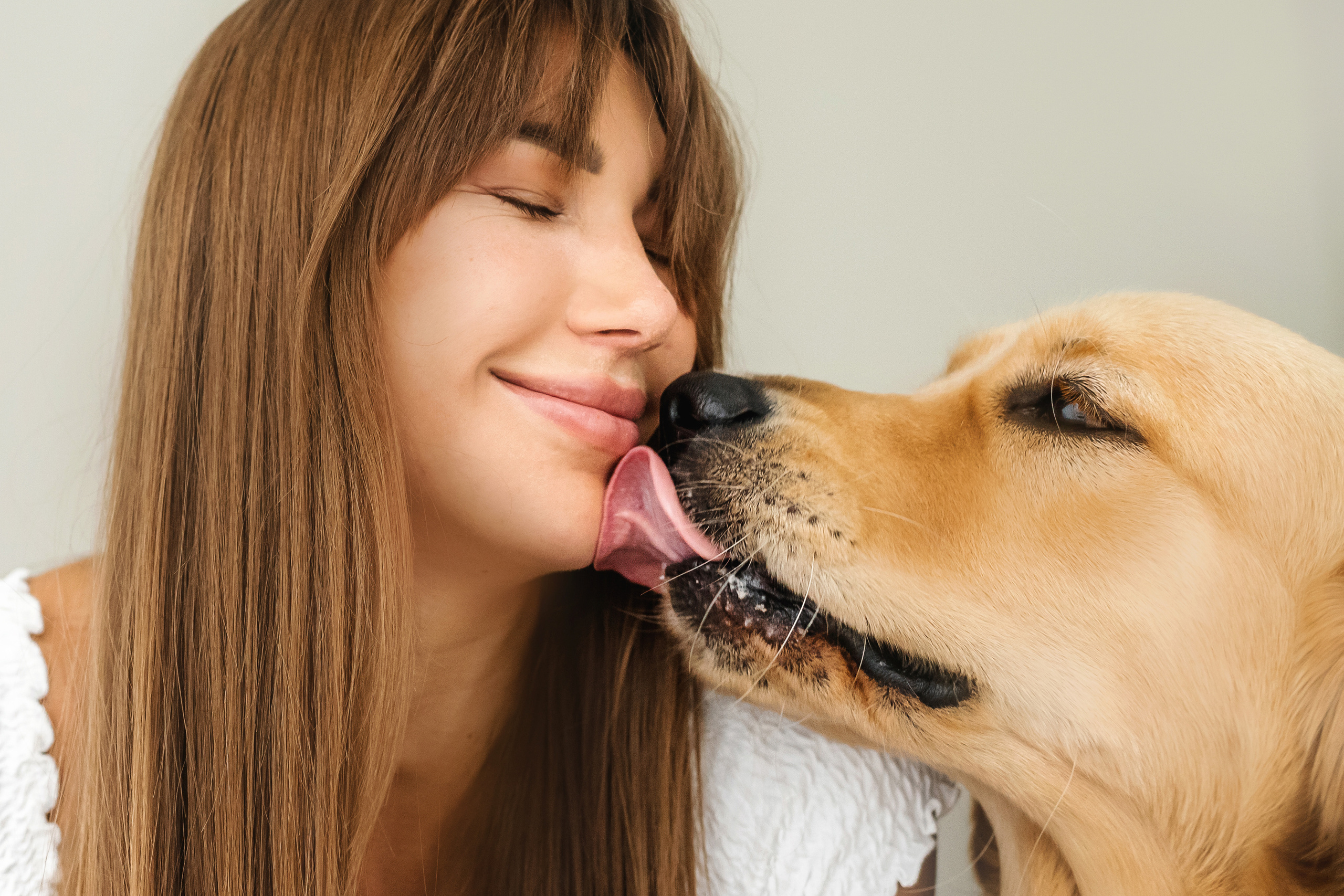 Фотосессия с щенком золотистого ретривера