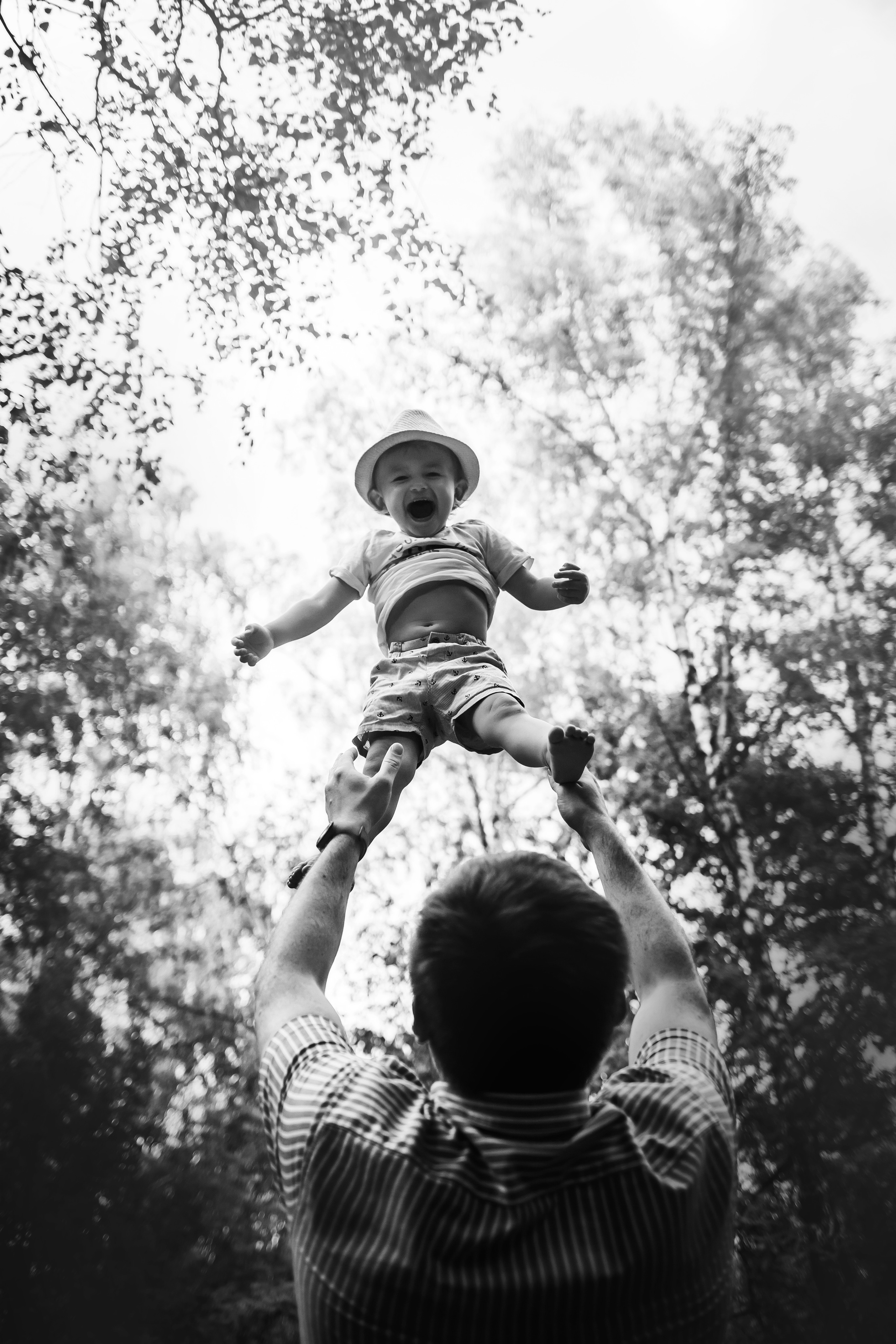 Перся и его семья в Ботаническом лесу