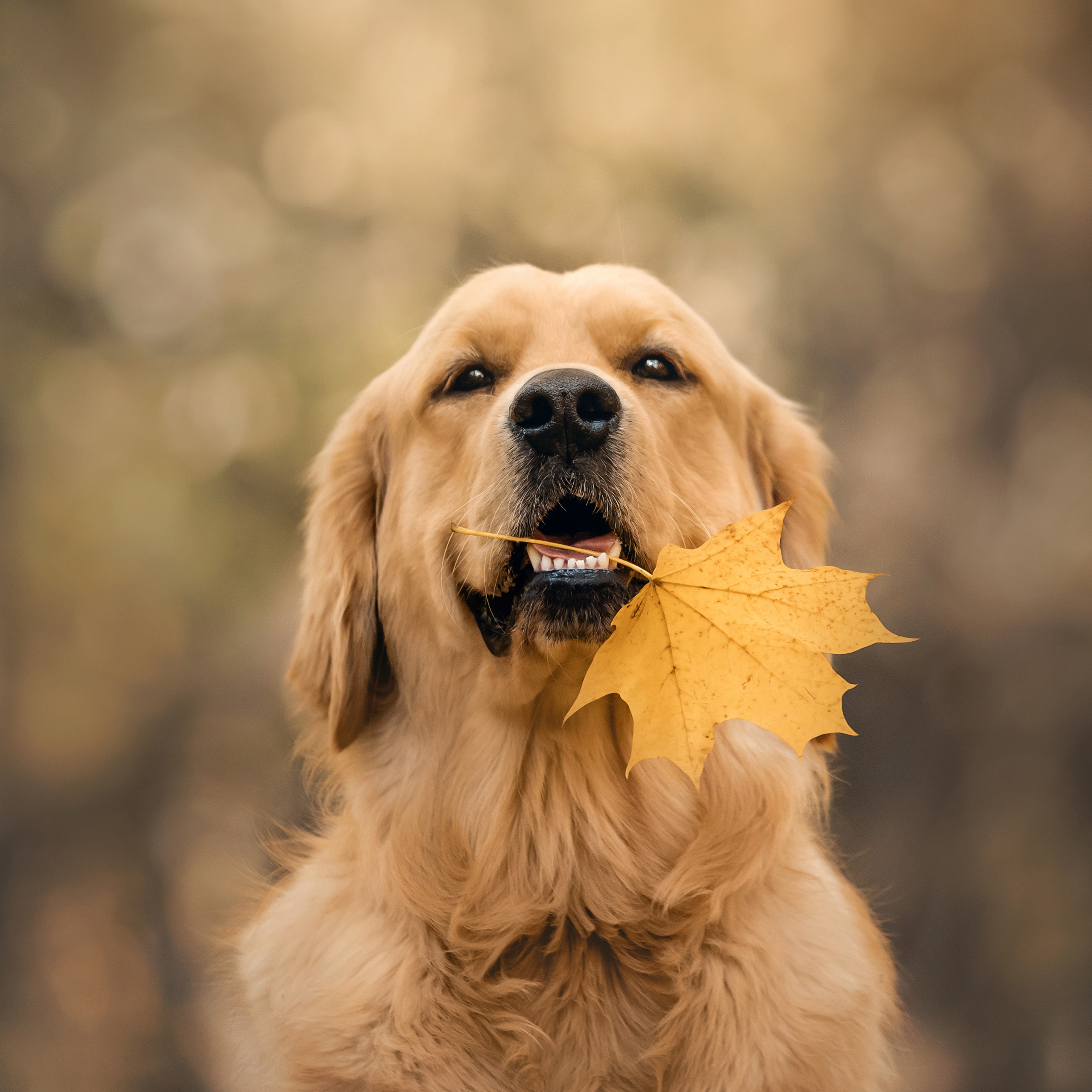Фотосессия Марины и Паскаля