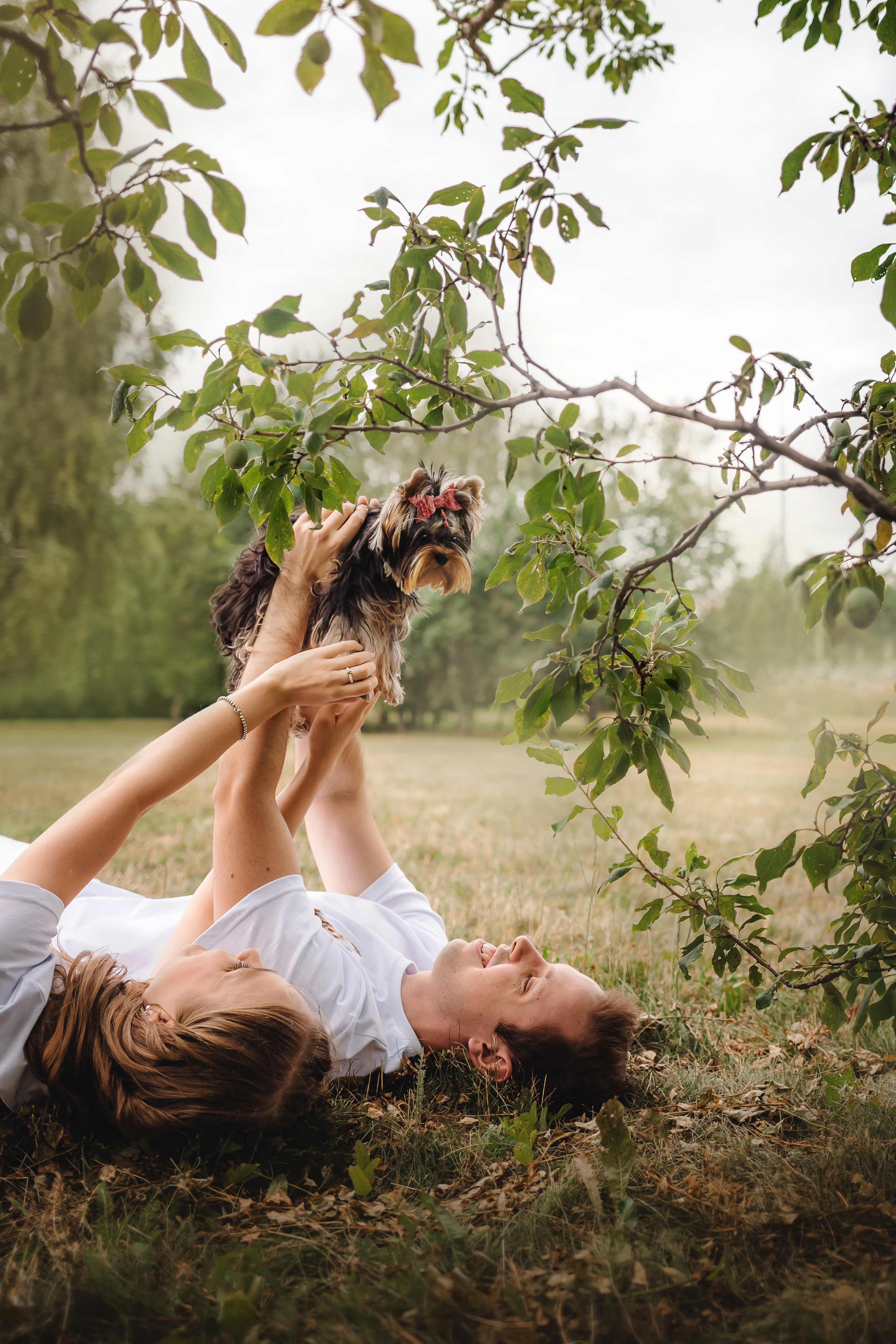 Фотосессия йорка Юли и ее семья