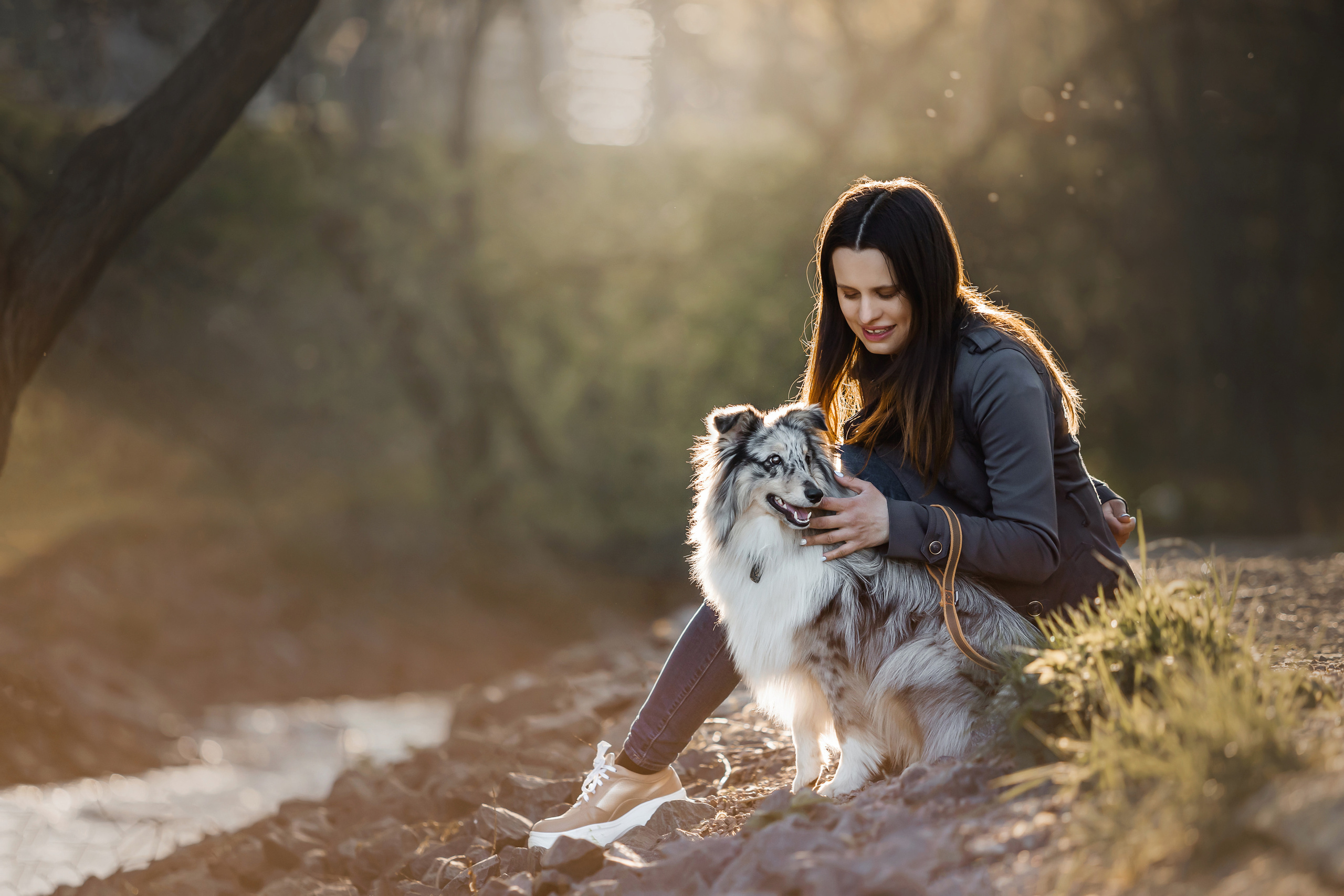 Фотосессия с шелти Скаем