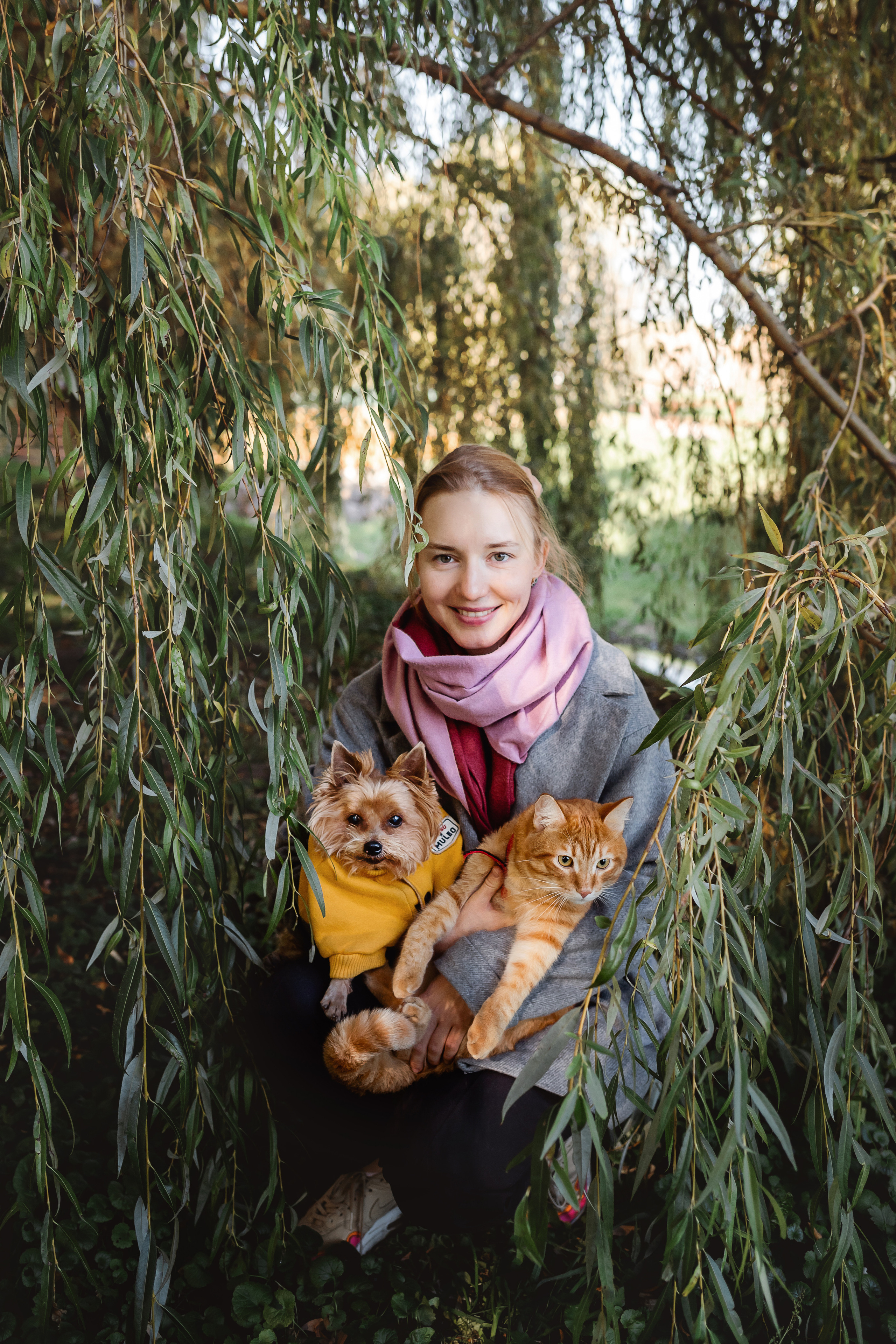 Фотосессия с собакой и котом. Ира, йорк Филя и кот Леброн