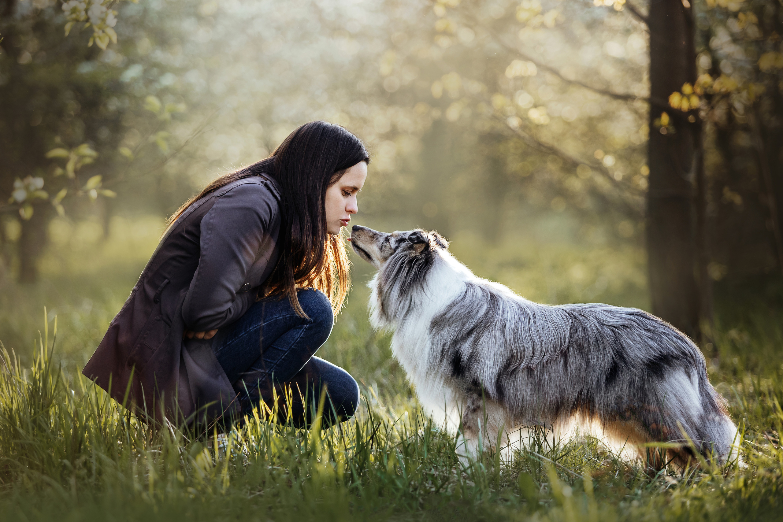 Фотосессия с шелти Скаем
