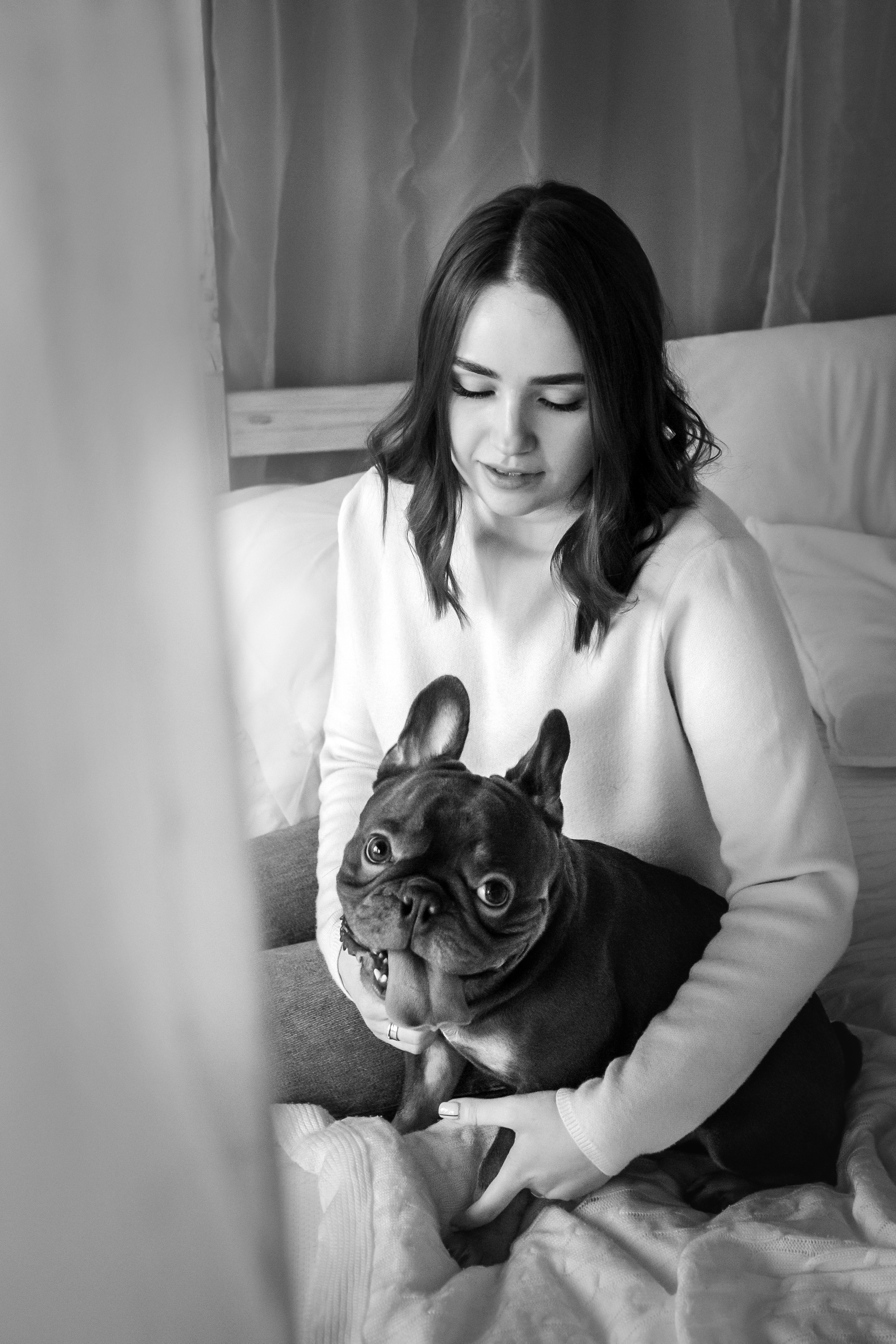 Фотосессия бульдогов Лео и Марса в догфрендли студии