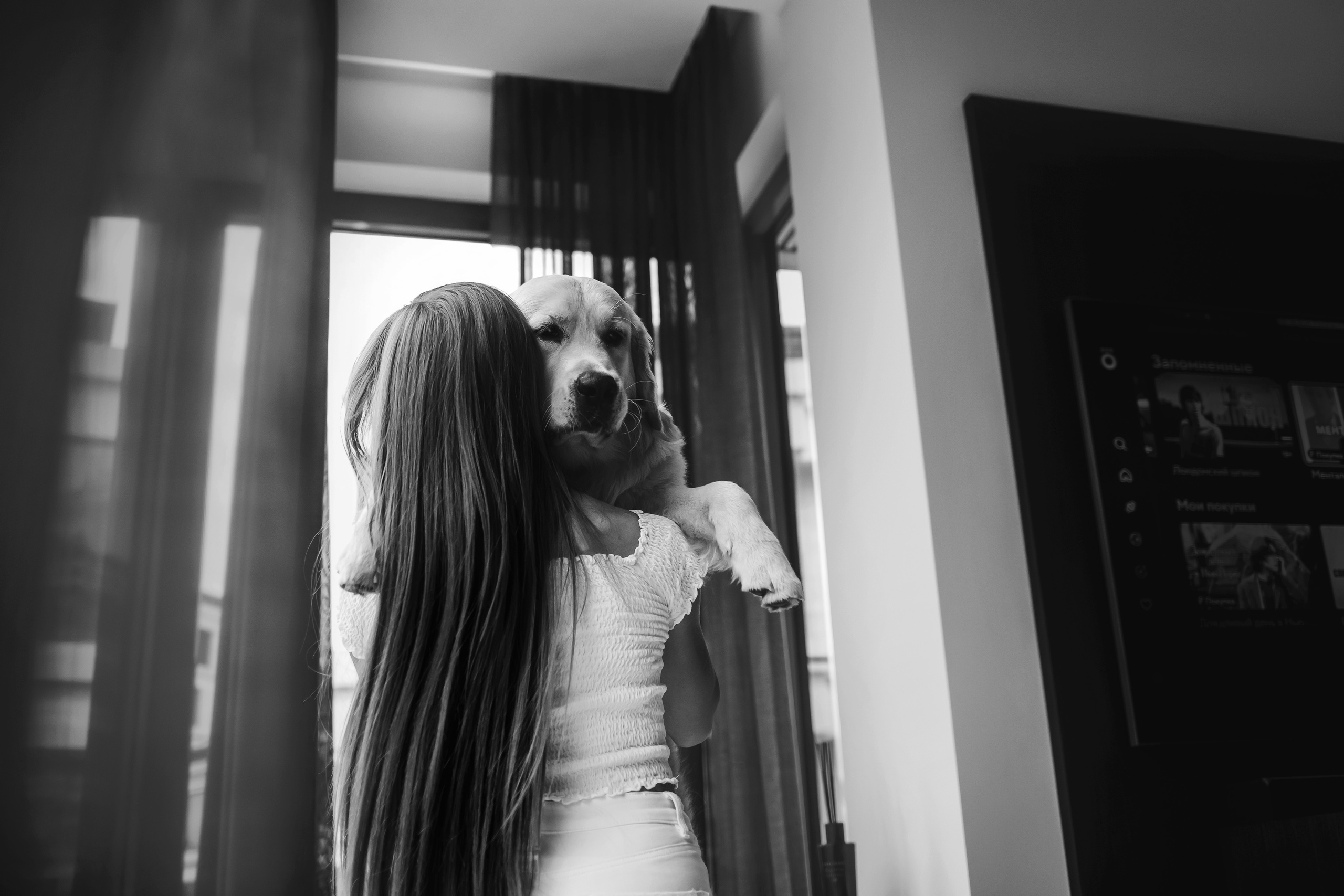 Фотосессия с щенком золотистого ретривера