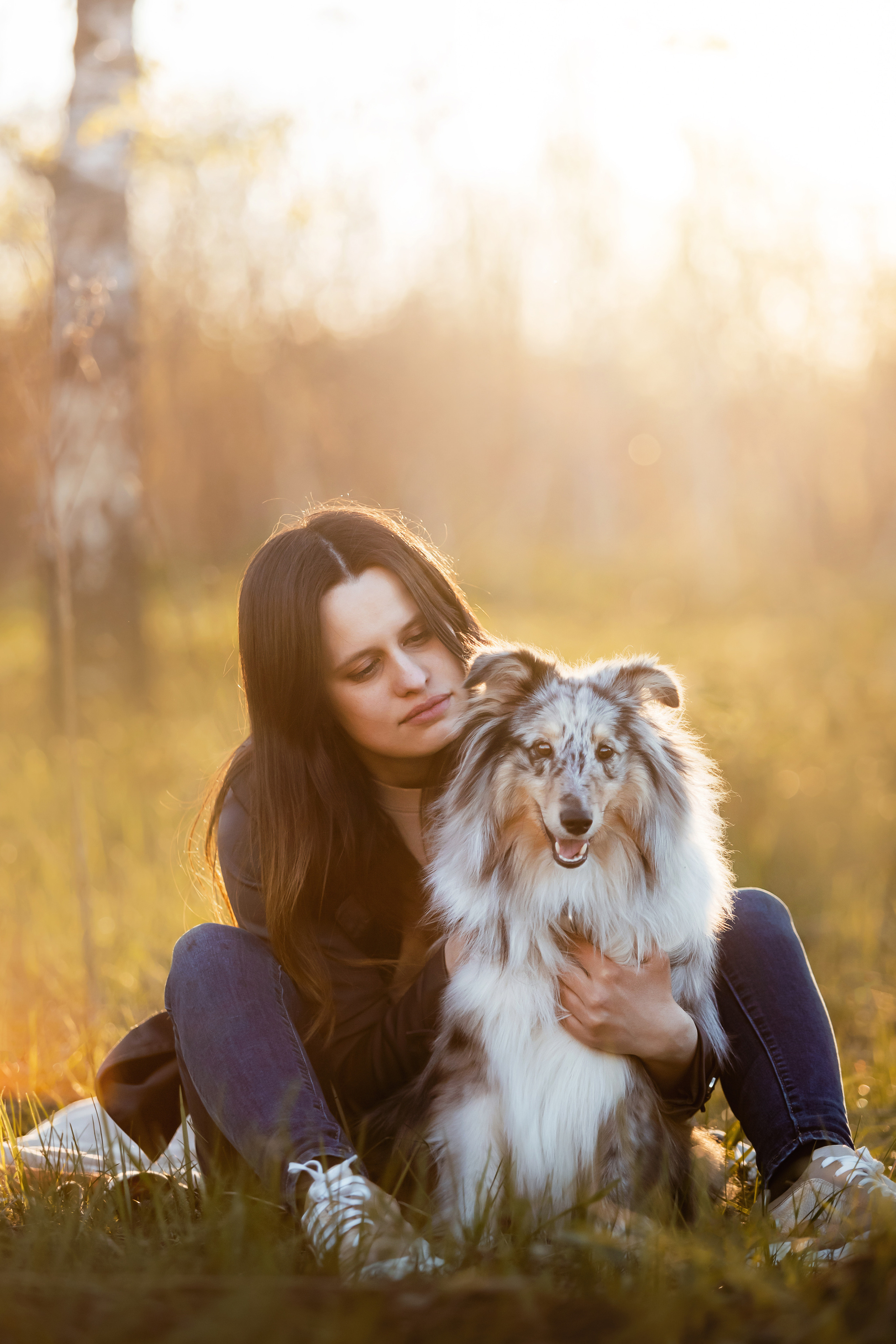 Фотосессия с шелти Скаем