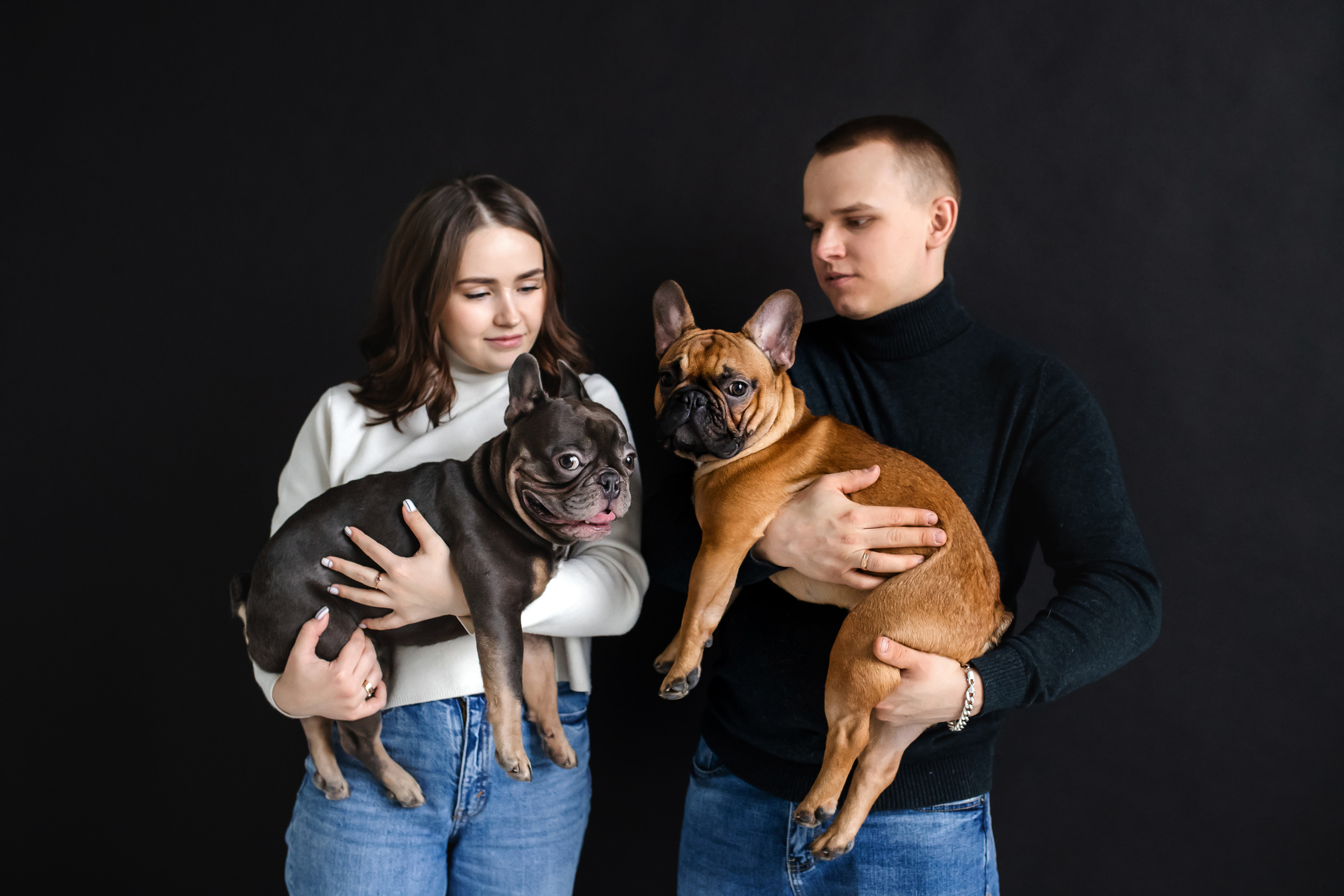 Фотосессия бульдогов Лео и Марса в догфрендли студии