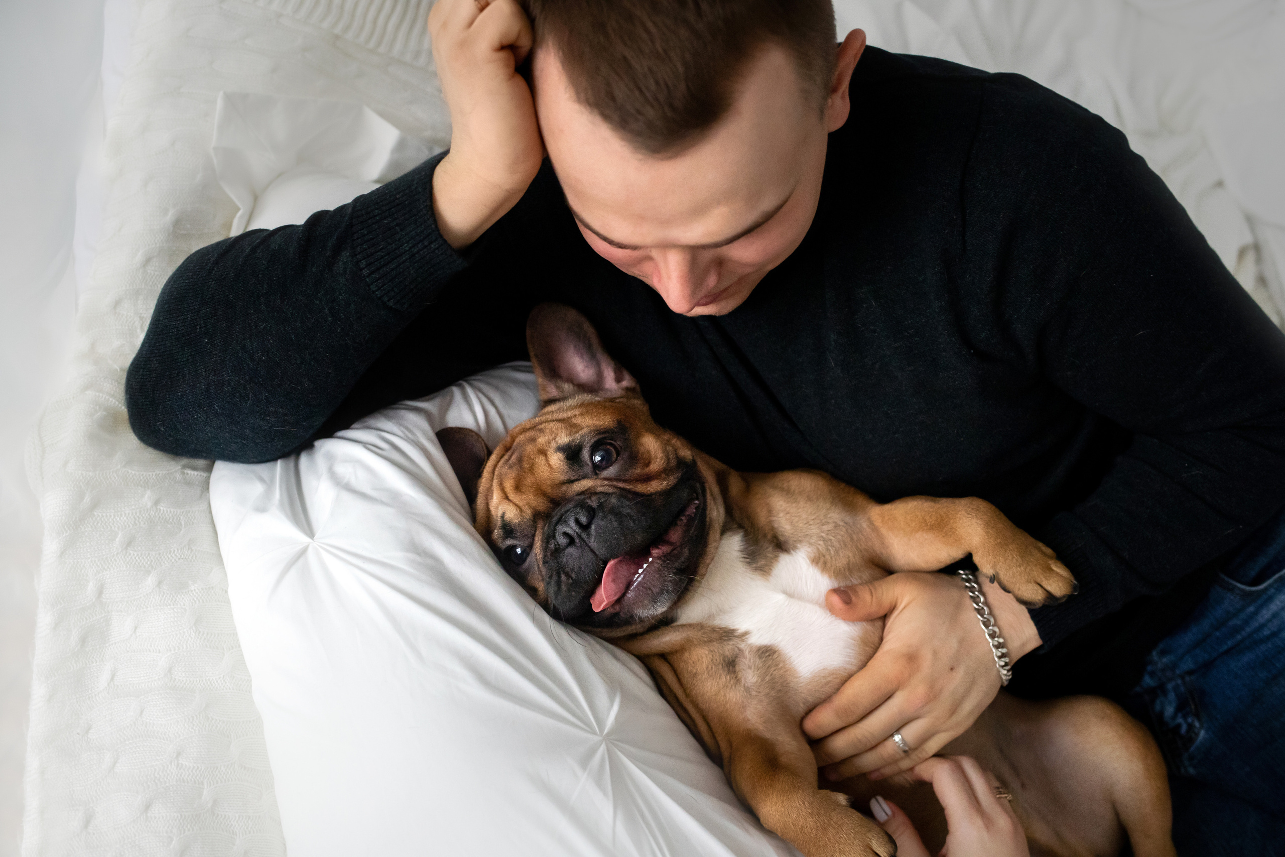 Фотосессия бульдогов Лео и Марса в догфрендли студии