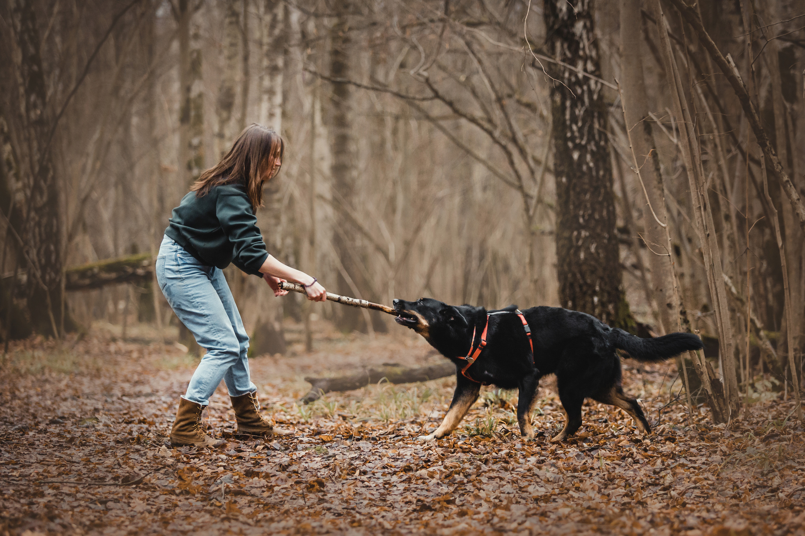 Фотосессия с собакой Фелик