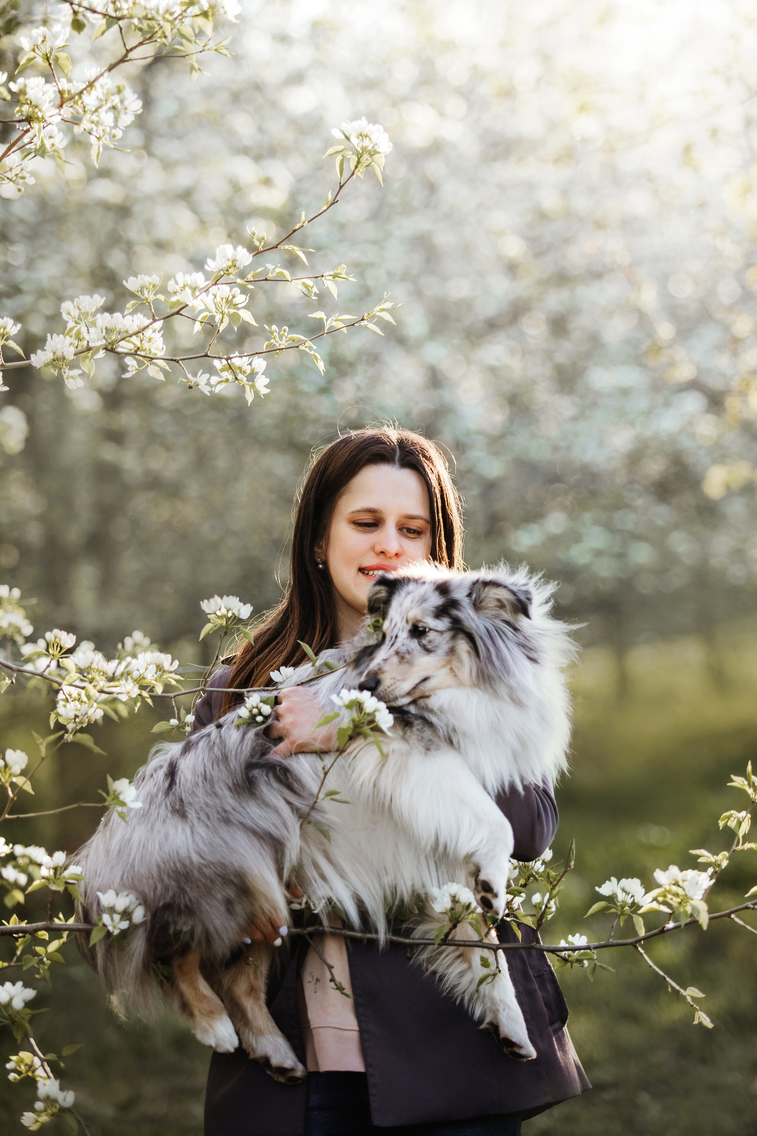 Фотосессия с шелти Скаем