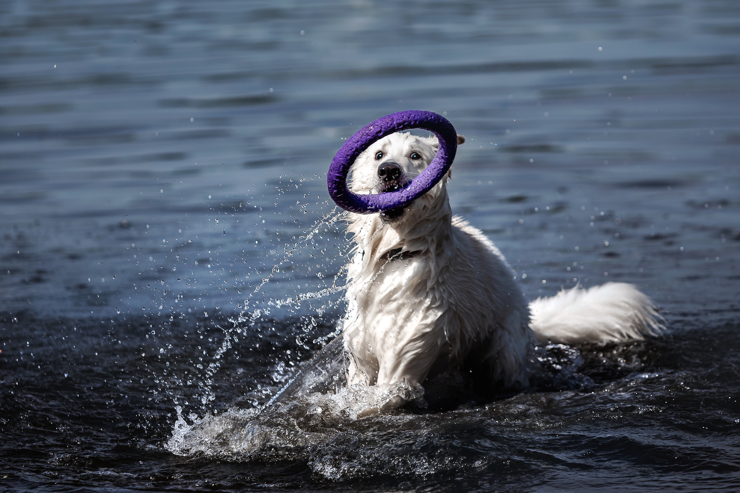 Фотосессия Светы, Юли и Олафа