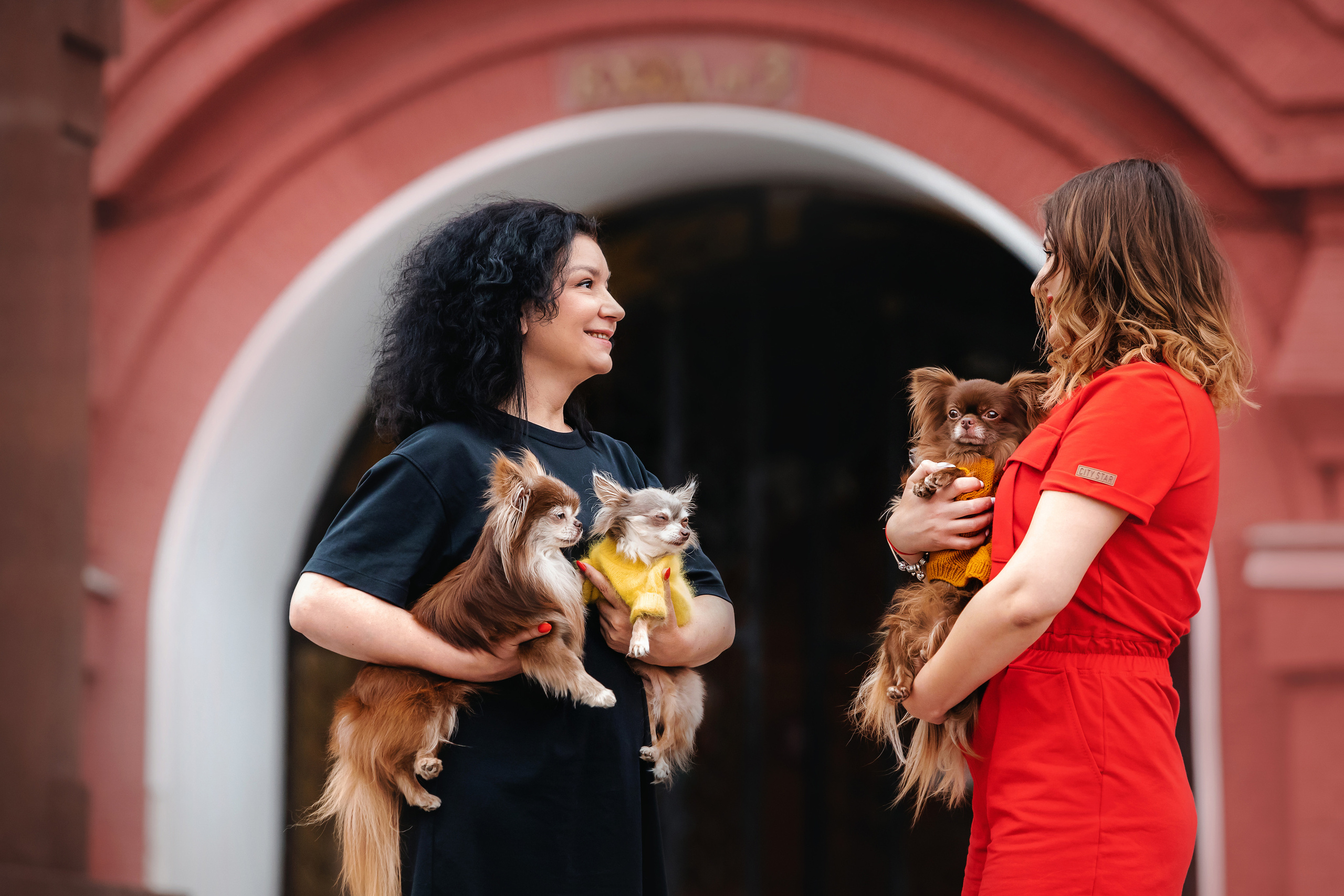 Фотосессия с чихуахуа в центре Москвы