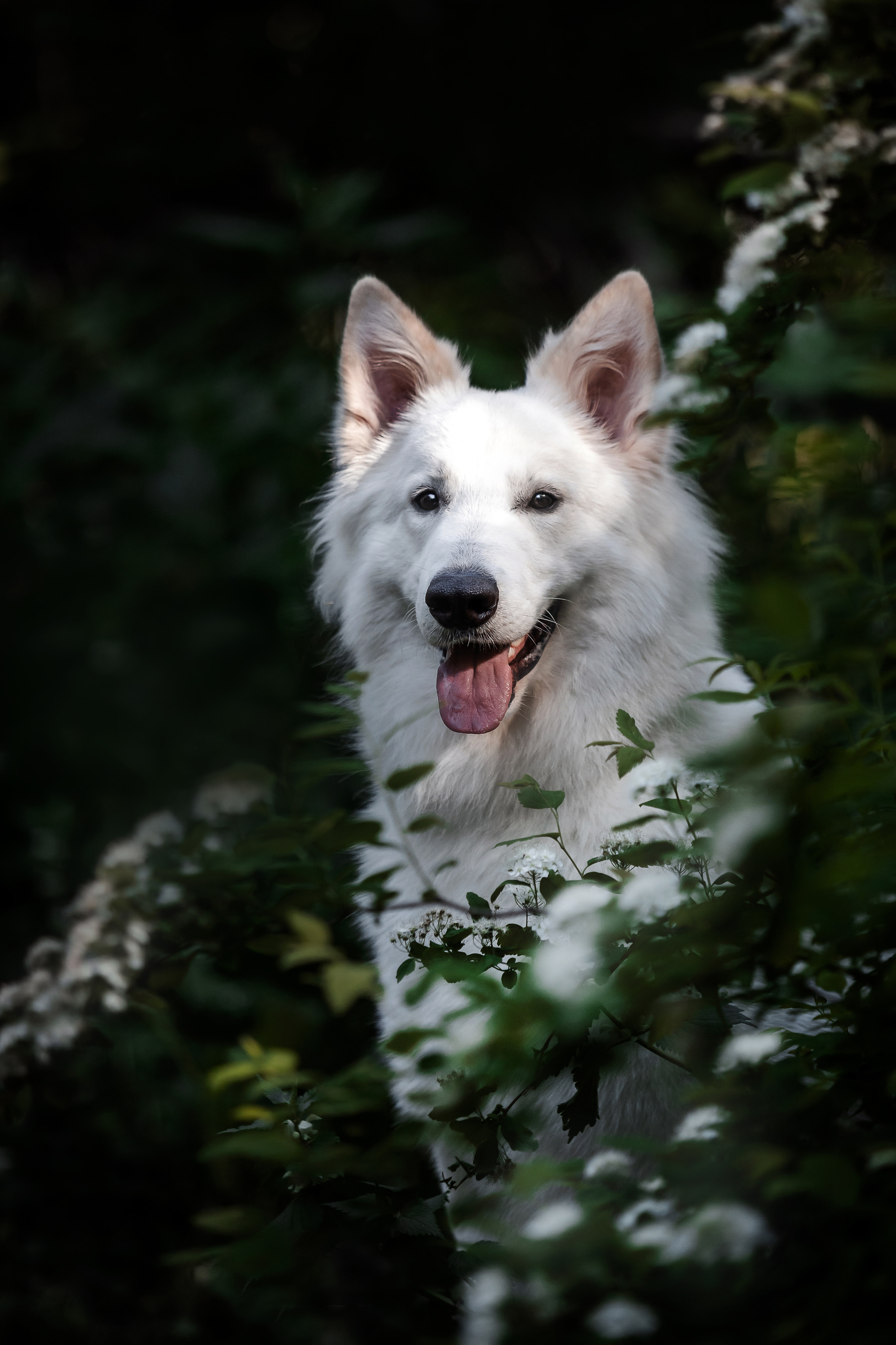 Фотосессия Светы, Юли и Олафа