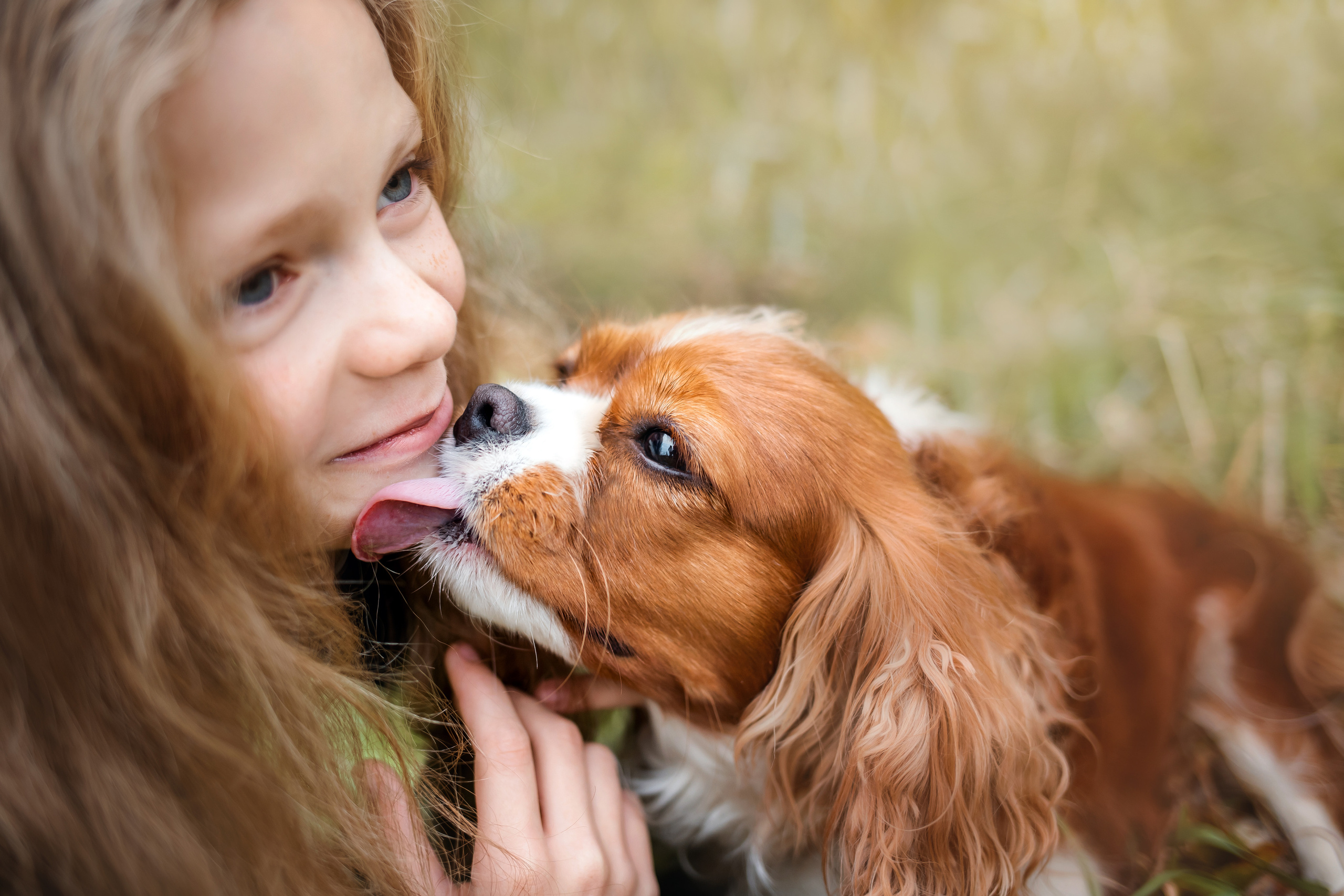 Фотосессия с ребенком и собакой